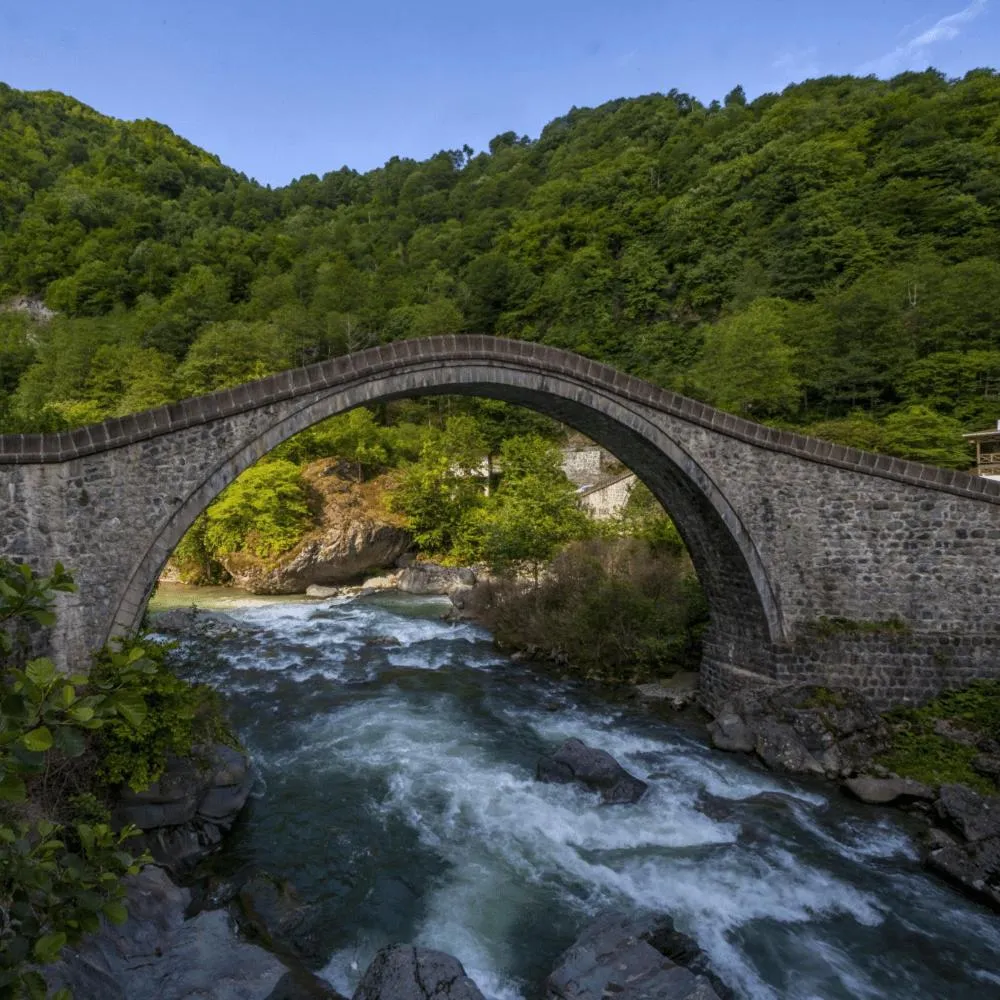 Activities in River Didi Otel