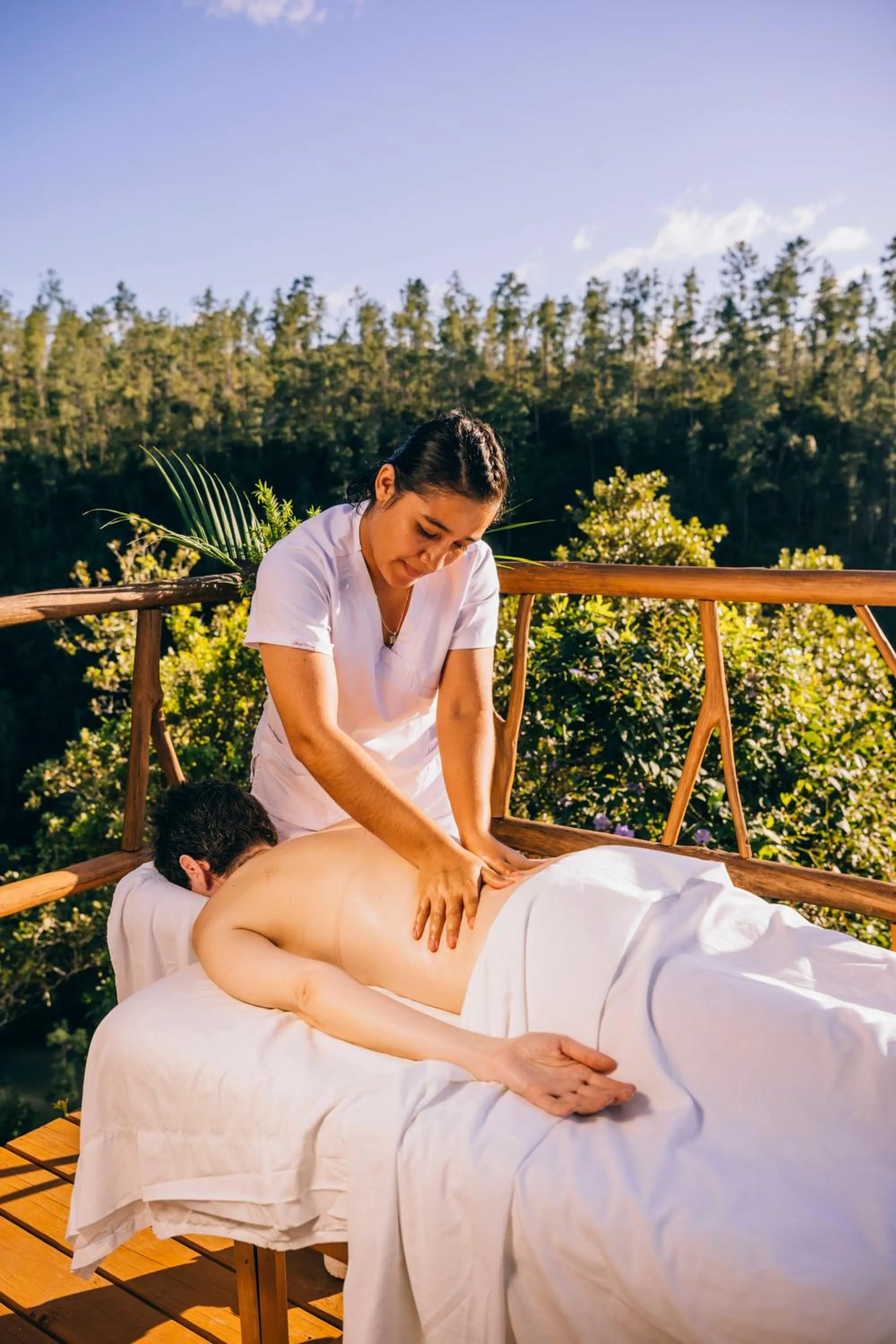 Natural landscape in Gaia Riverlodge