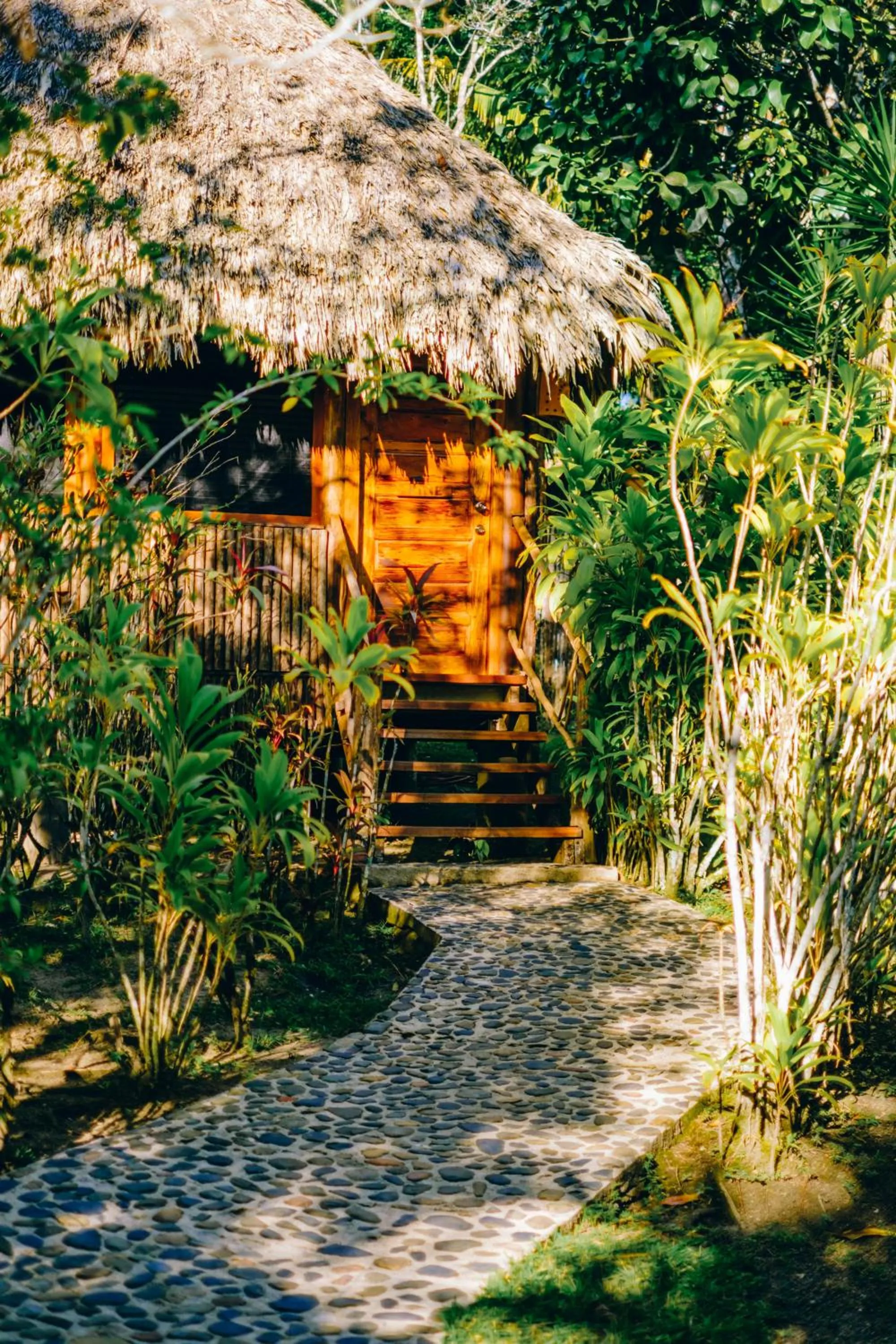 Garden view in Gaia Riverlodge
