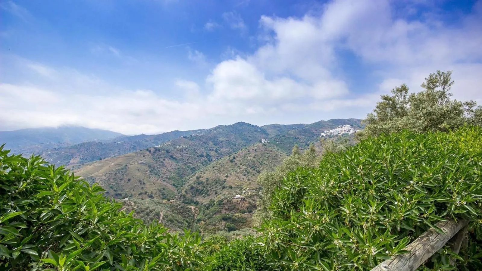 Mountain view in Villa La Frasca Competa by Ruralidays