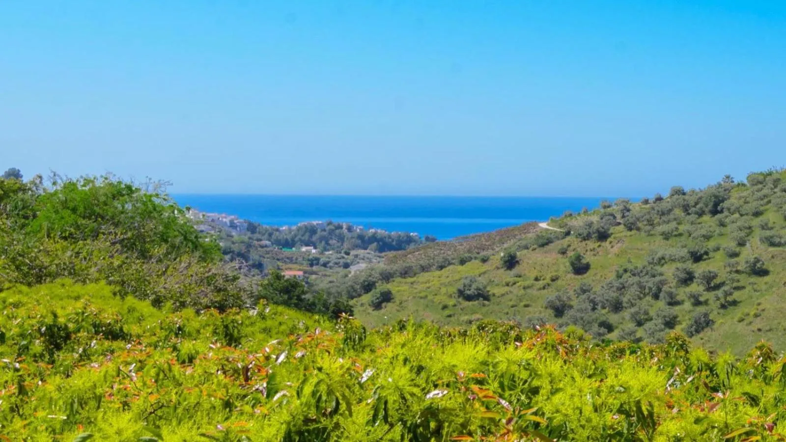 Sea view in Villa Javier de Frigiliana by Ruralidays