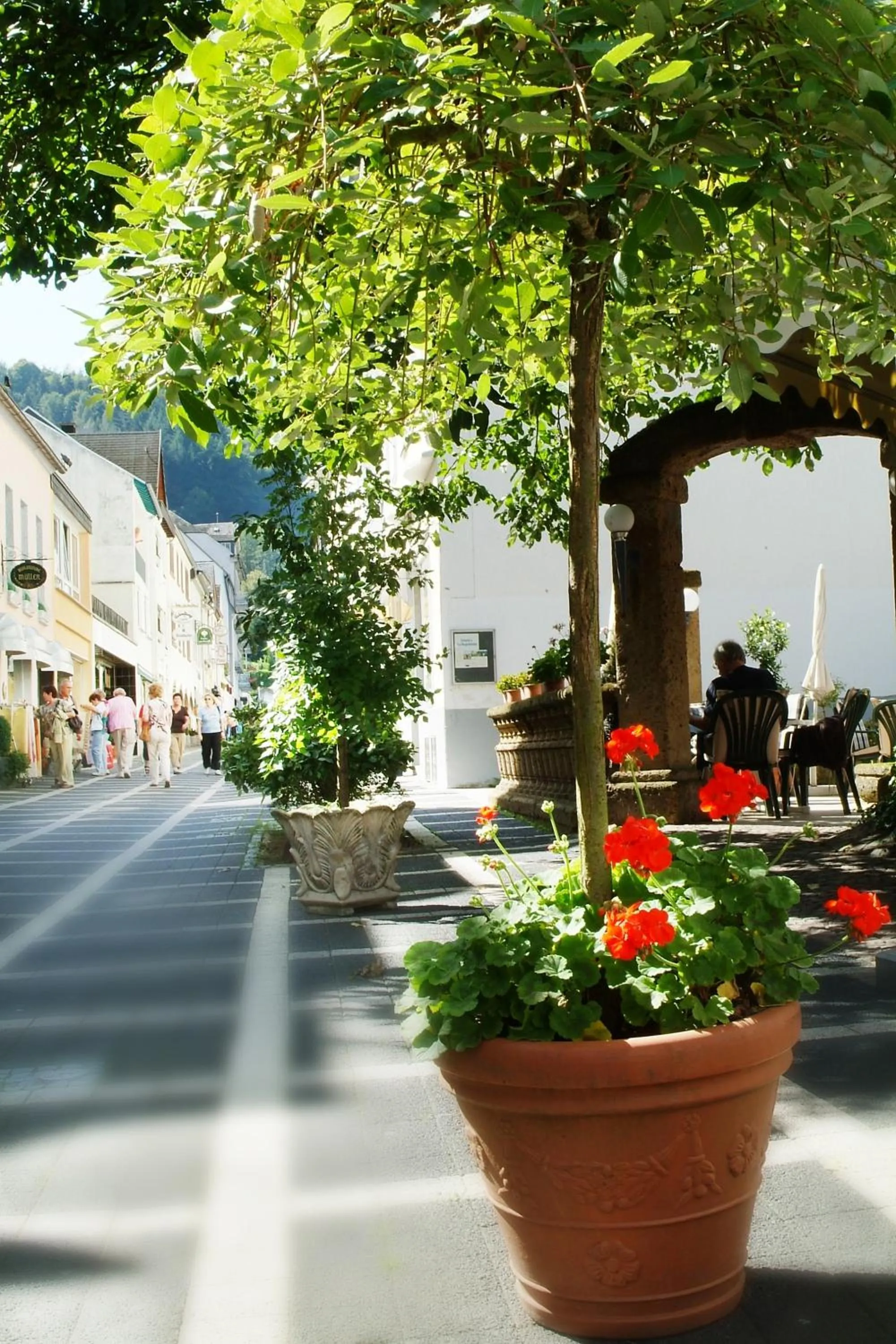 Spring in Haus Hohenzollern & Haus 'Ambiente