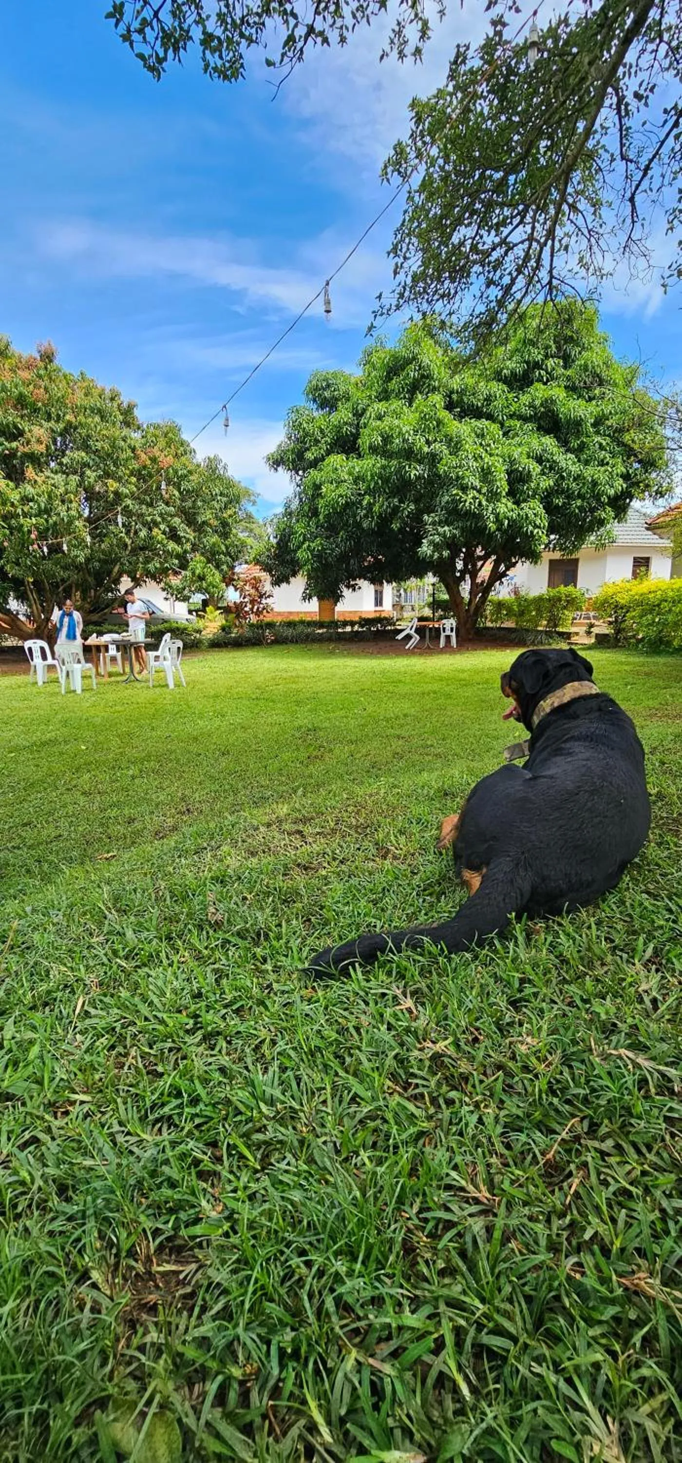 Day in Northern Pearl