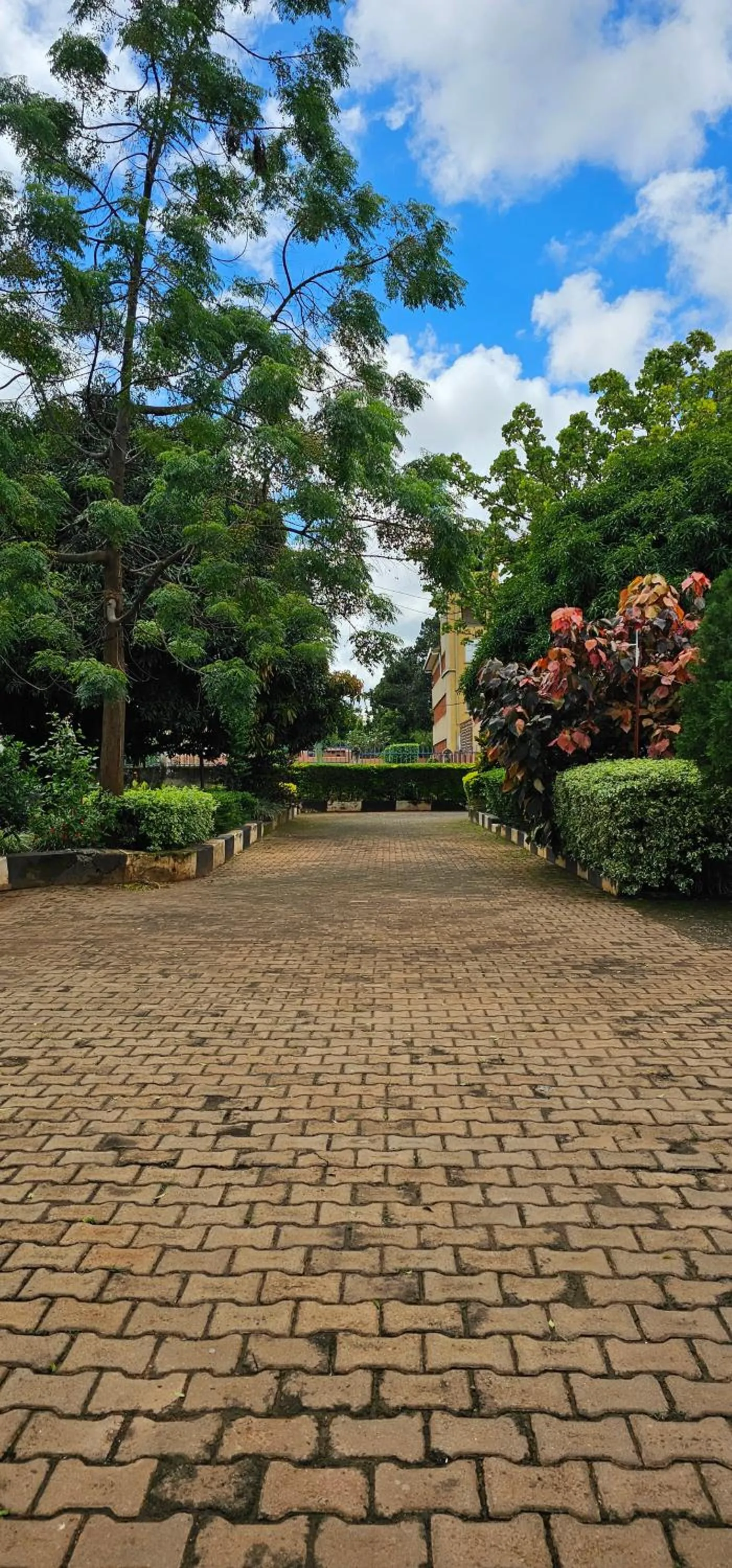 Garden in Northern Pearl