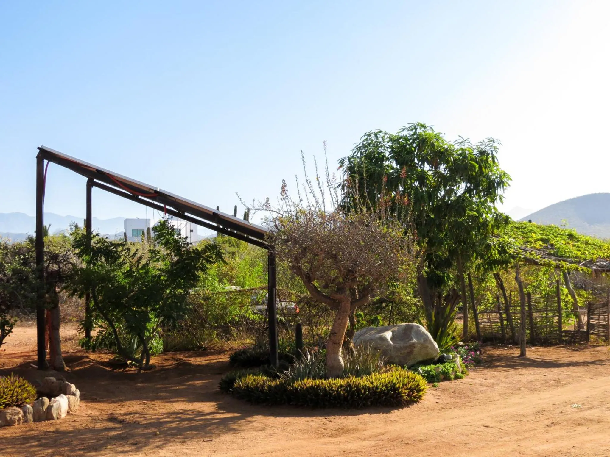Garden in Casitas El Salitral