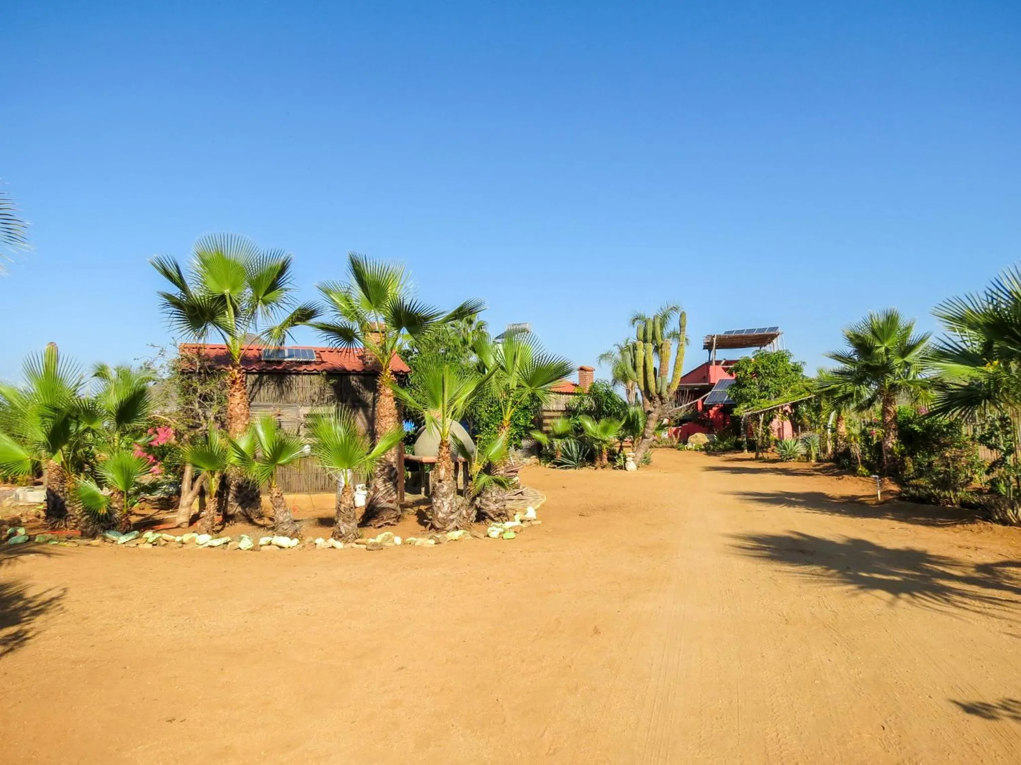 Garden in Casitas El Salitral