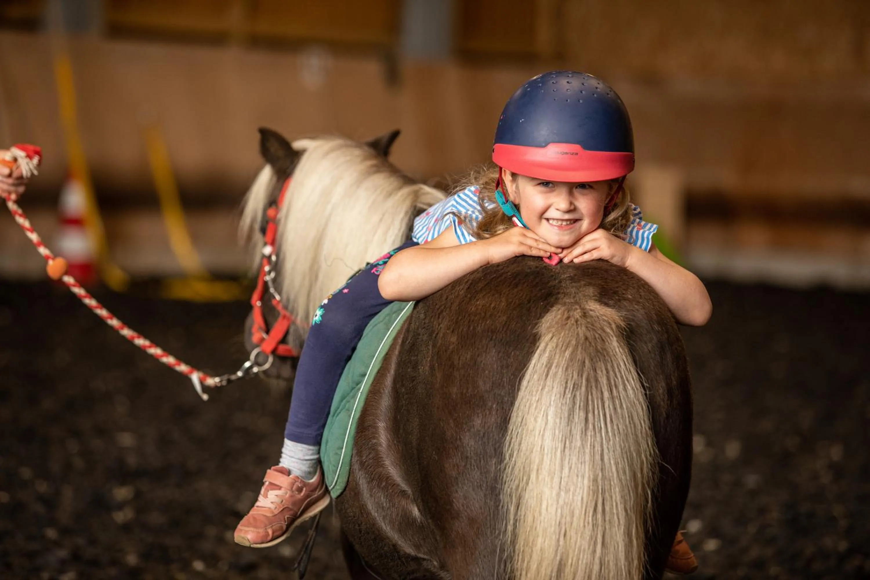 Horse-riding in Elldus Resort