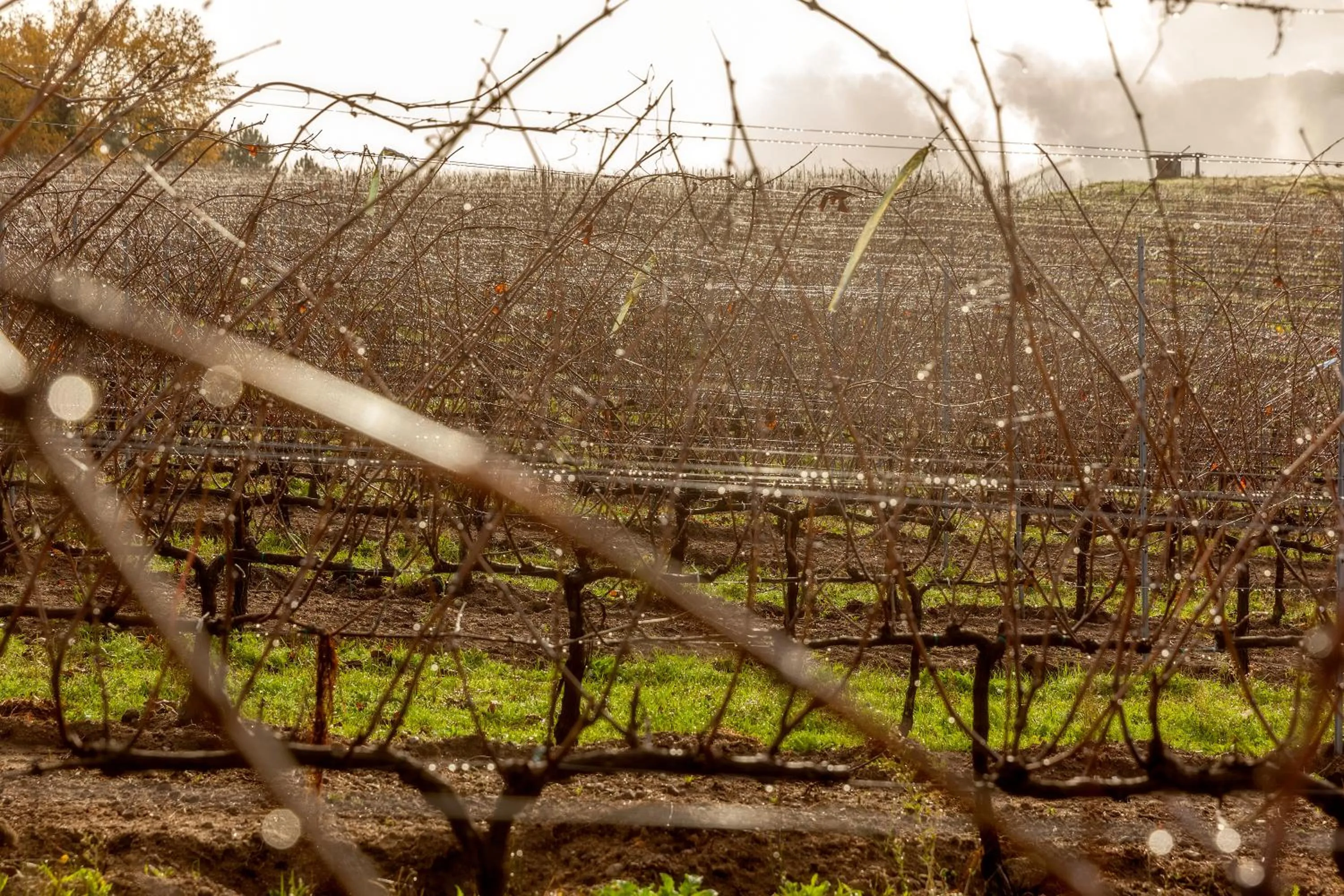 On site in CASA RECTORAL DE SAN EUSEBIO