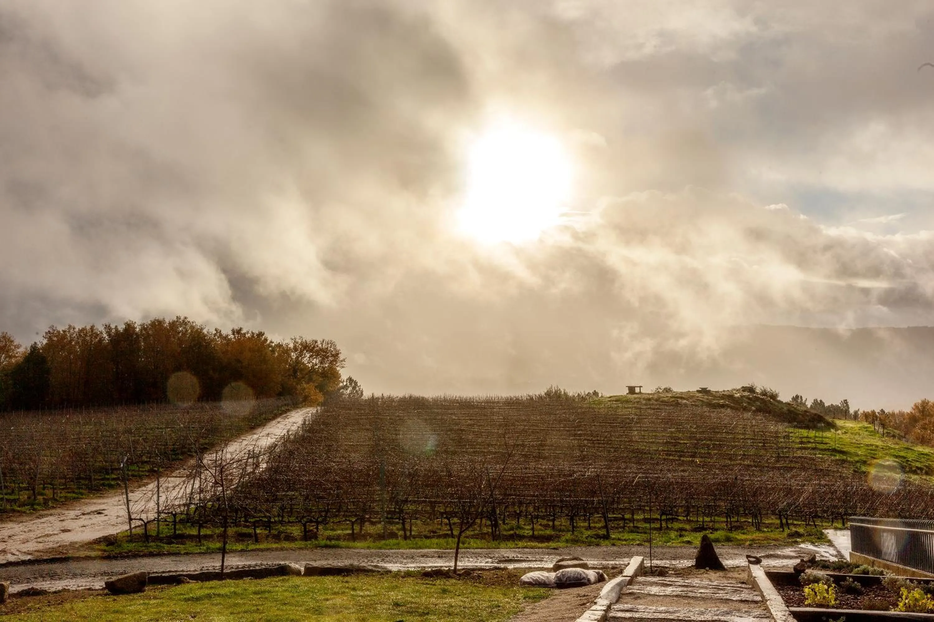 On site in CASA RECTORAL DE SAN EUSEBIO