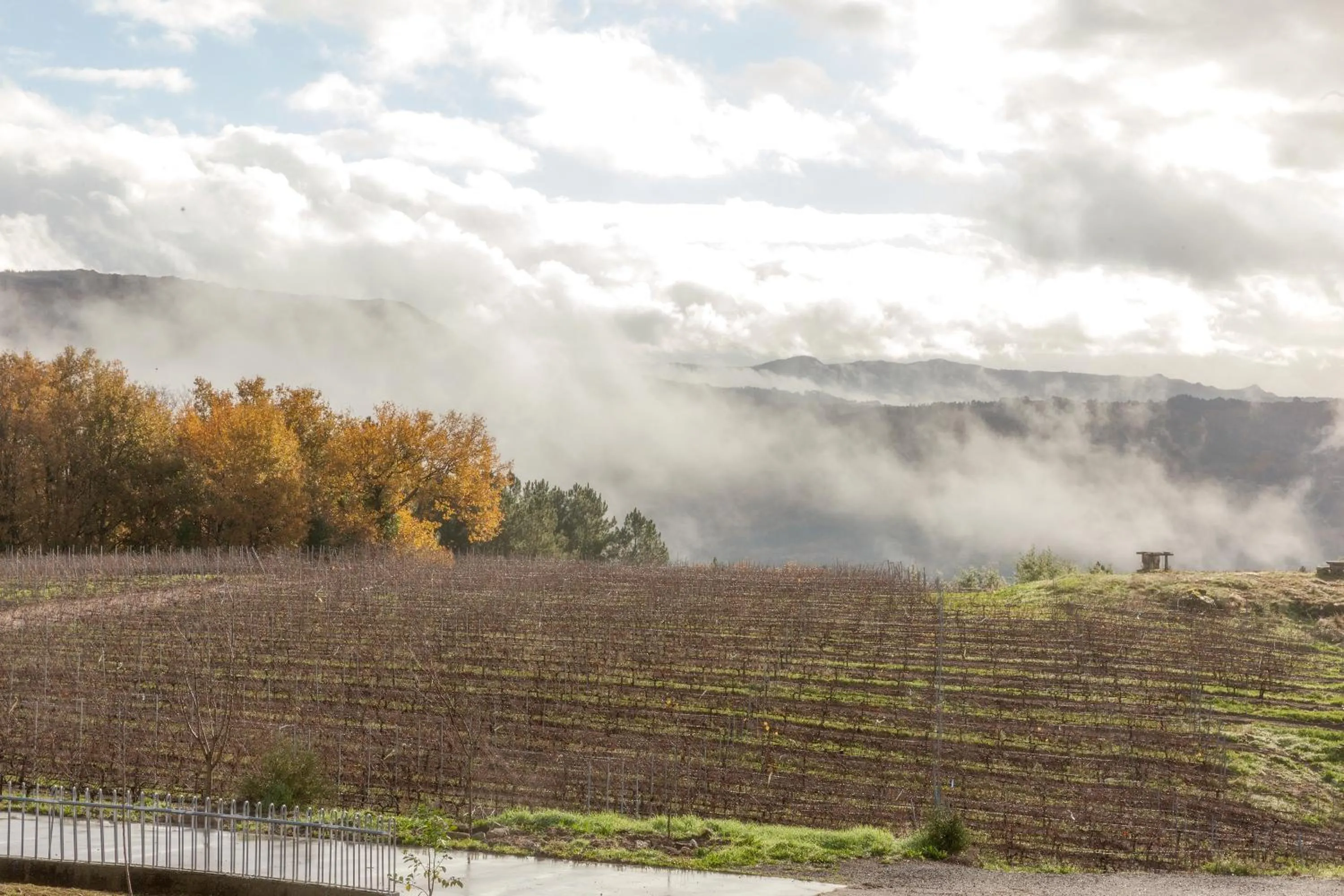 Natural landscape in CASA RECTORAL DE SAN EUSEBIO
