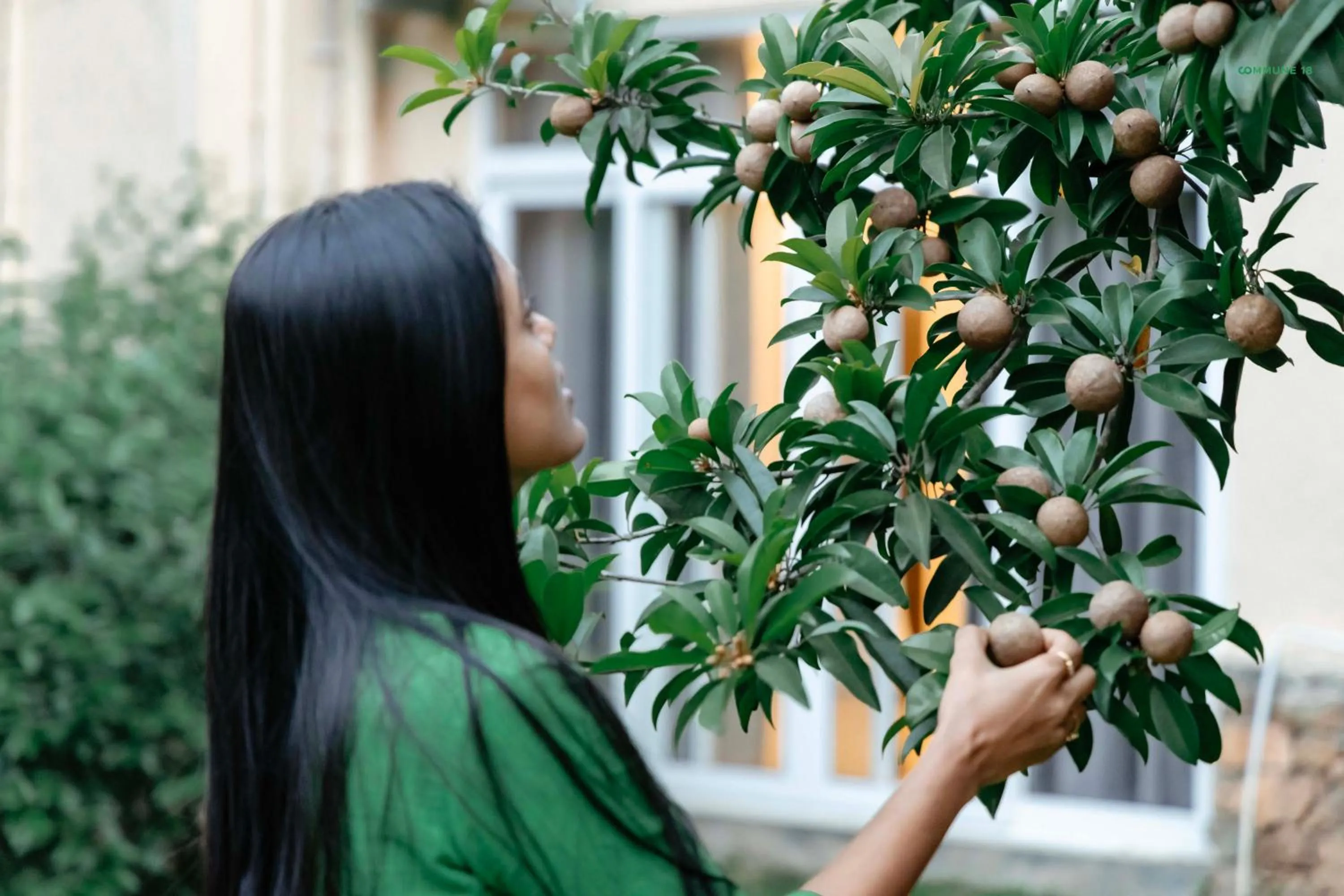 Commune18 Resort Chikmagalur