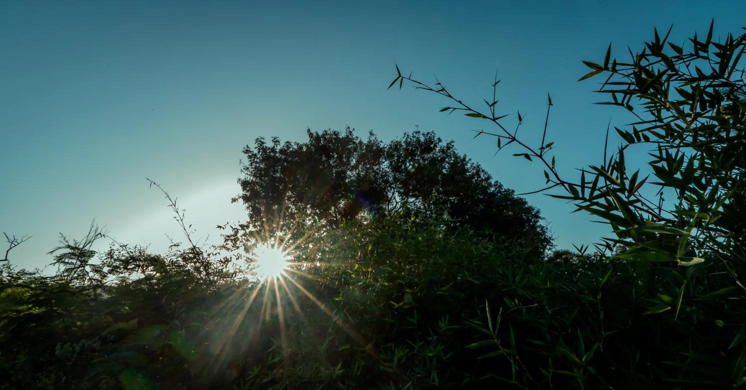 Day in Commune18 Resort Chikmagalur