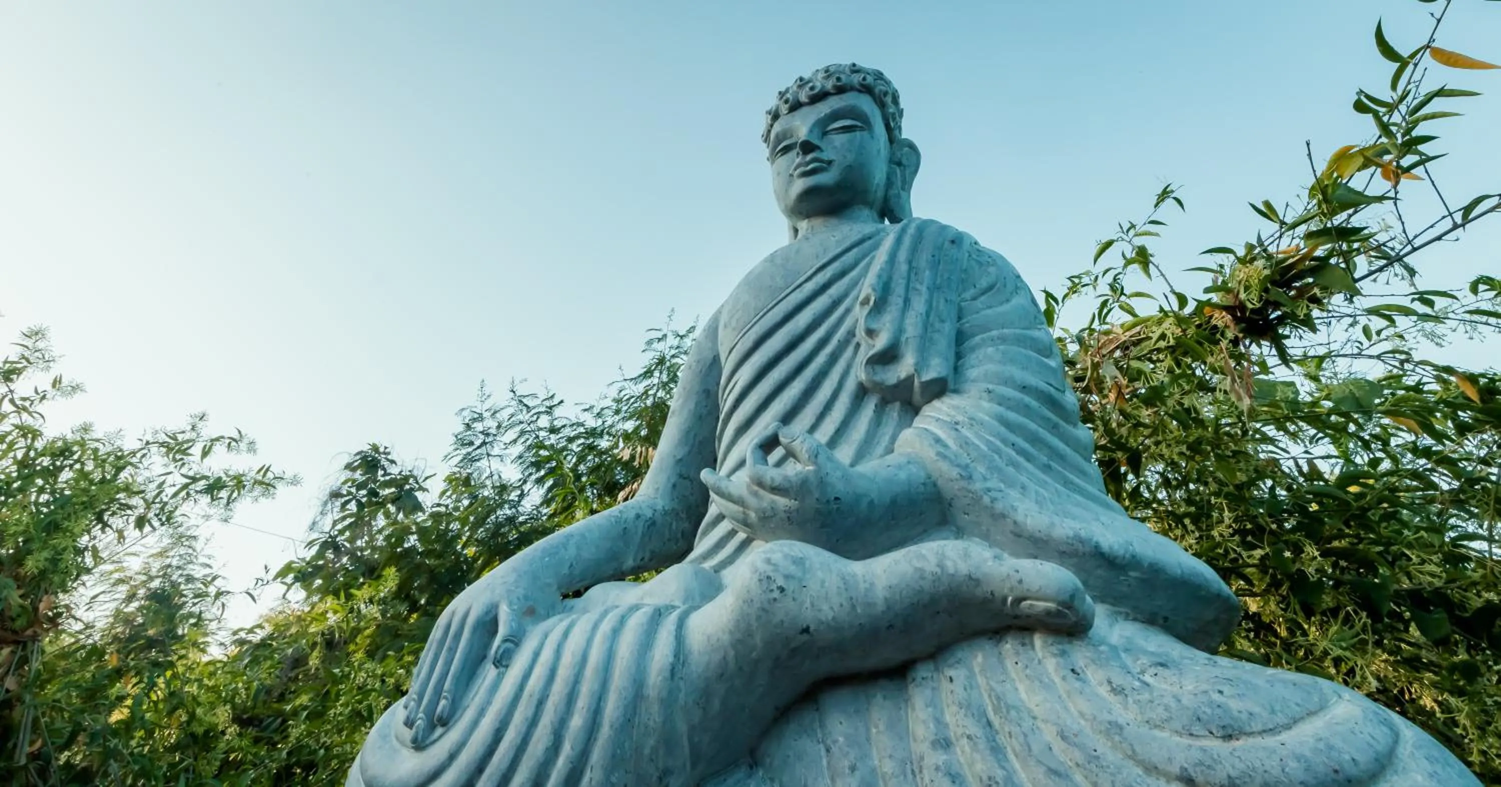 Garden in Commune18 Resort Chikmagalur