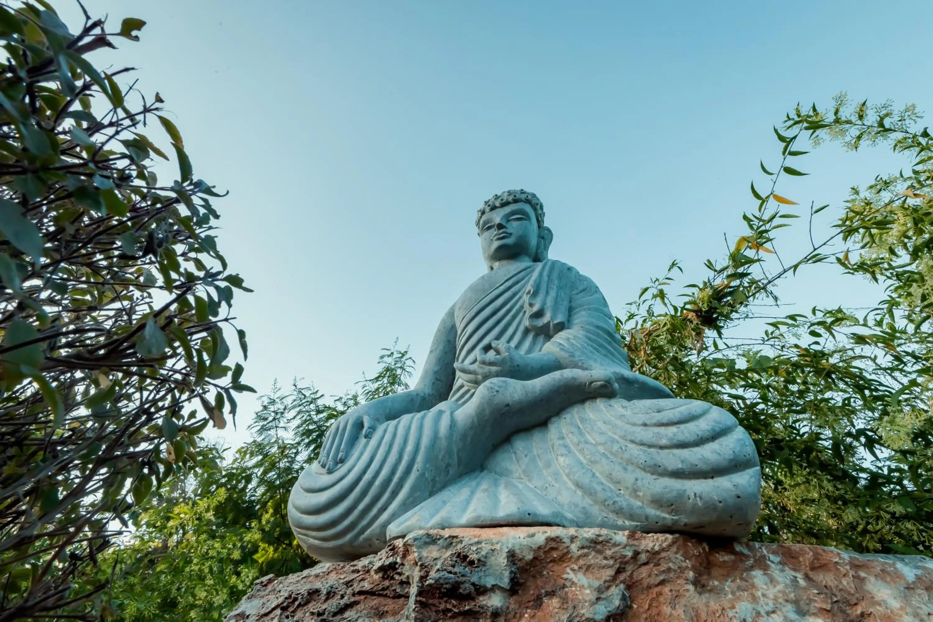 Garden view in Commune18 Resort Chikmagalur