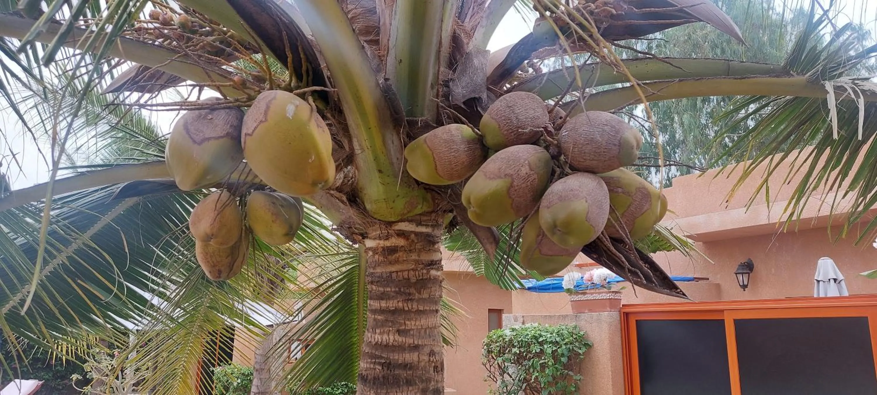 Day in Hôtel La Belle Etoile & SPA