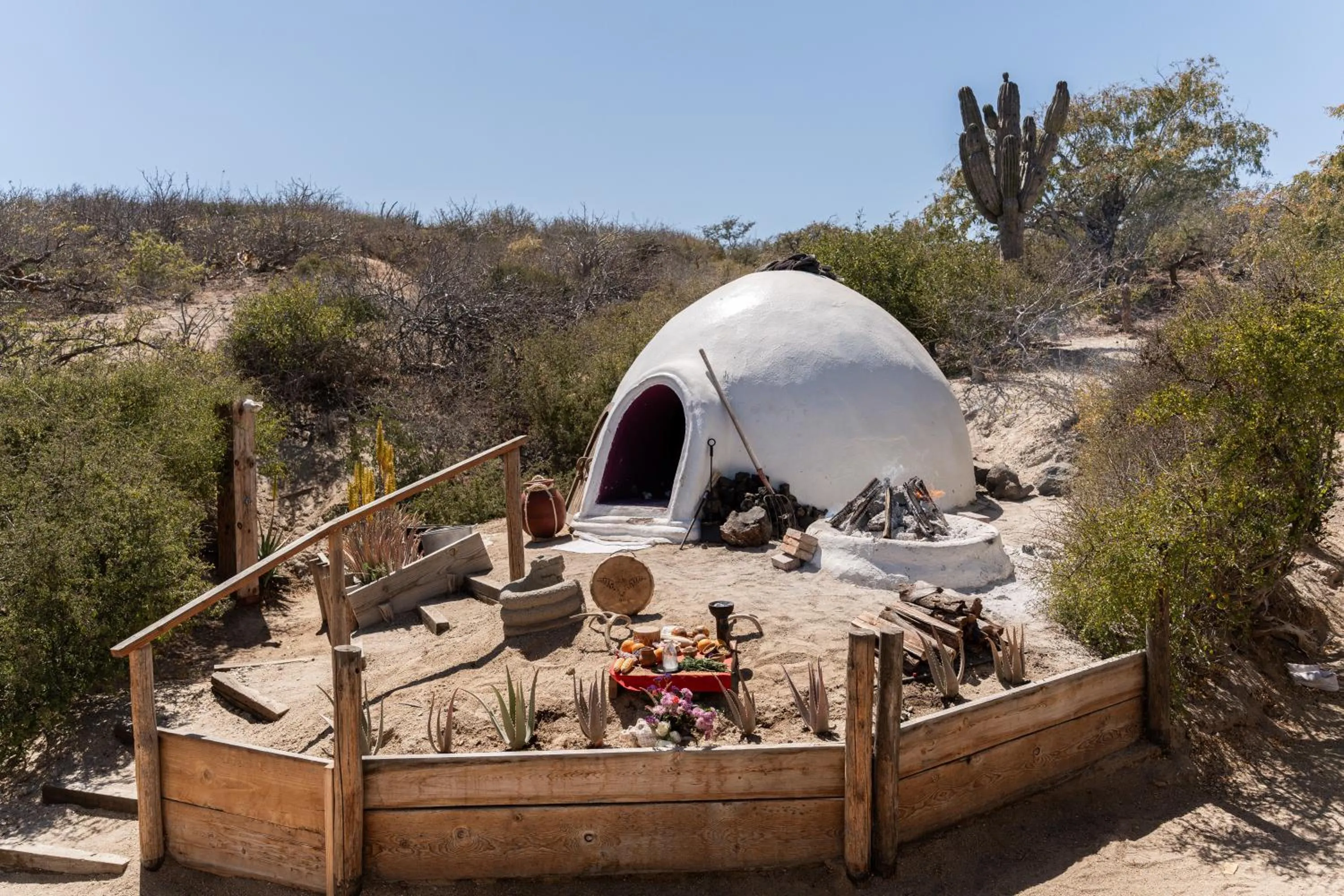 Natural landscape in NEST Baja, a Member of Design Hotels