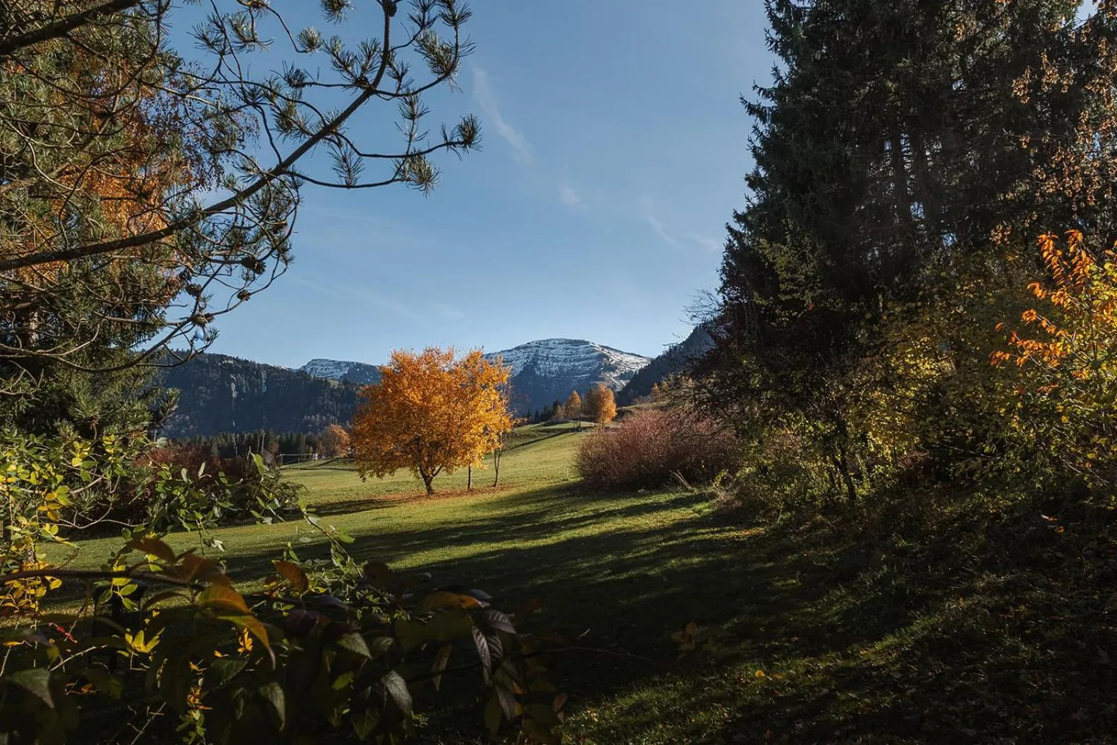 Mountain view in Alpin & Wellness Resort Ludwig Royal