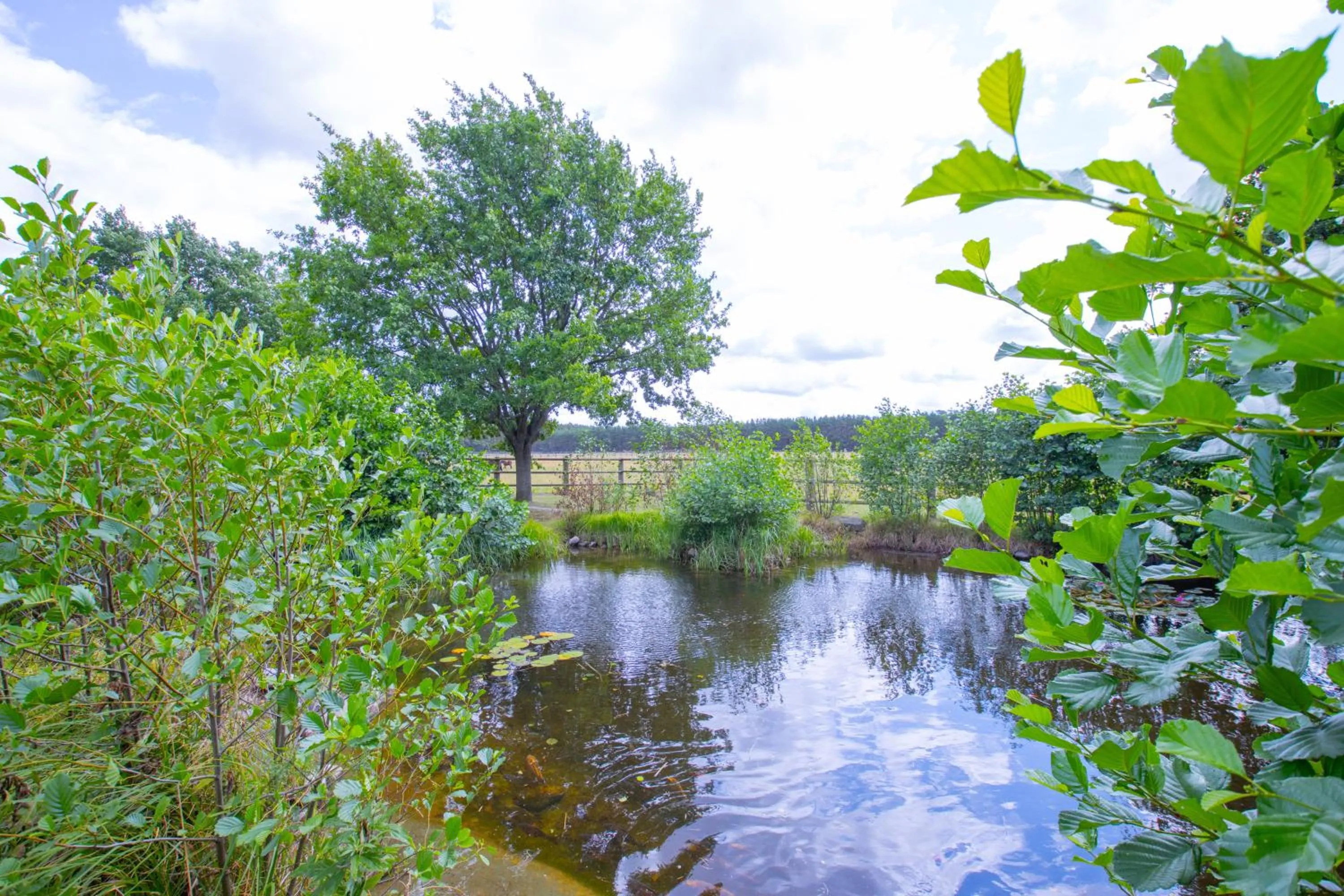 Garden in Ferien Hotel Fläming