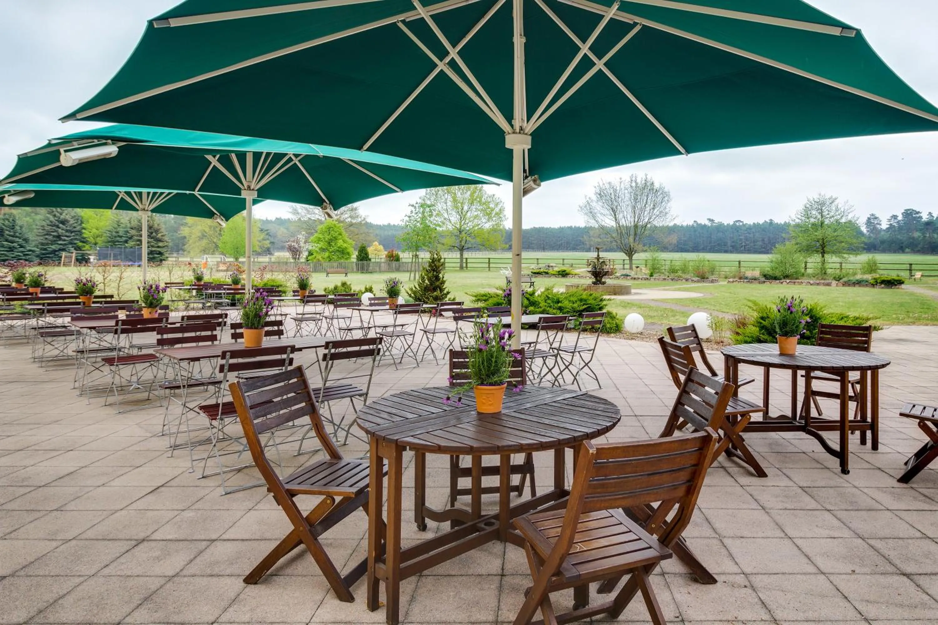 Balcony/Terrace in Ferien Hotel Fläming