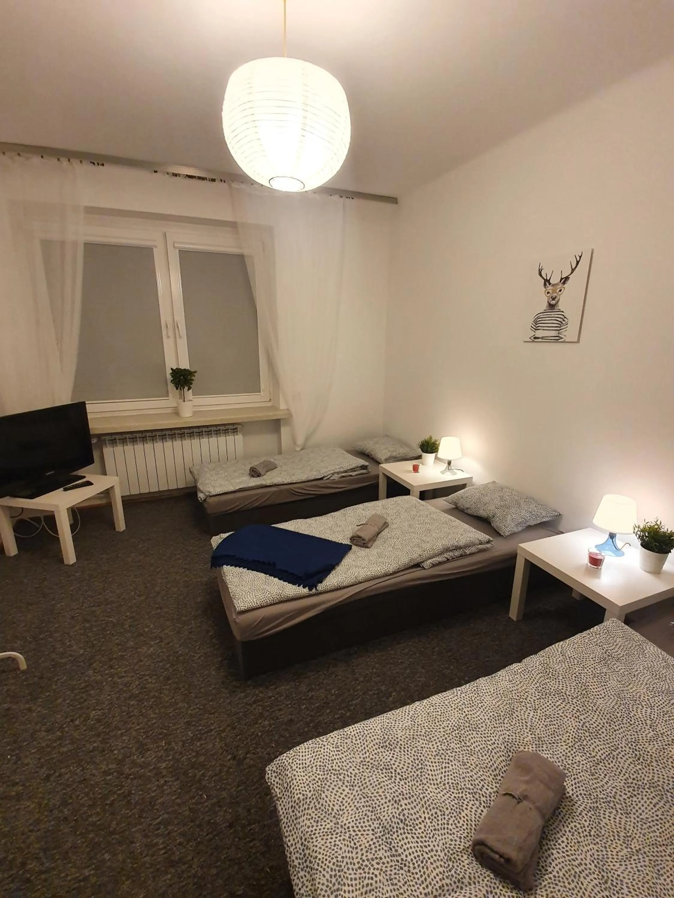 Photo of the whole room in Hostel Czecha