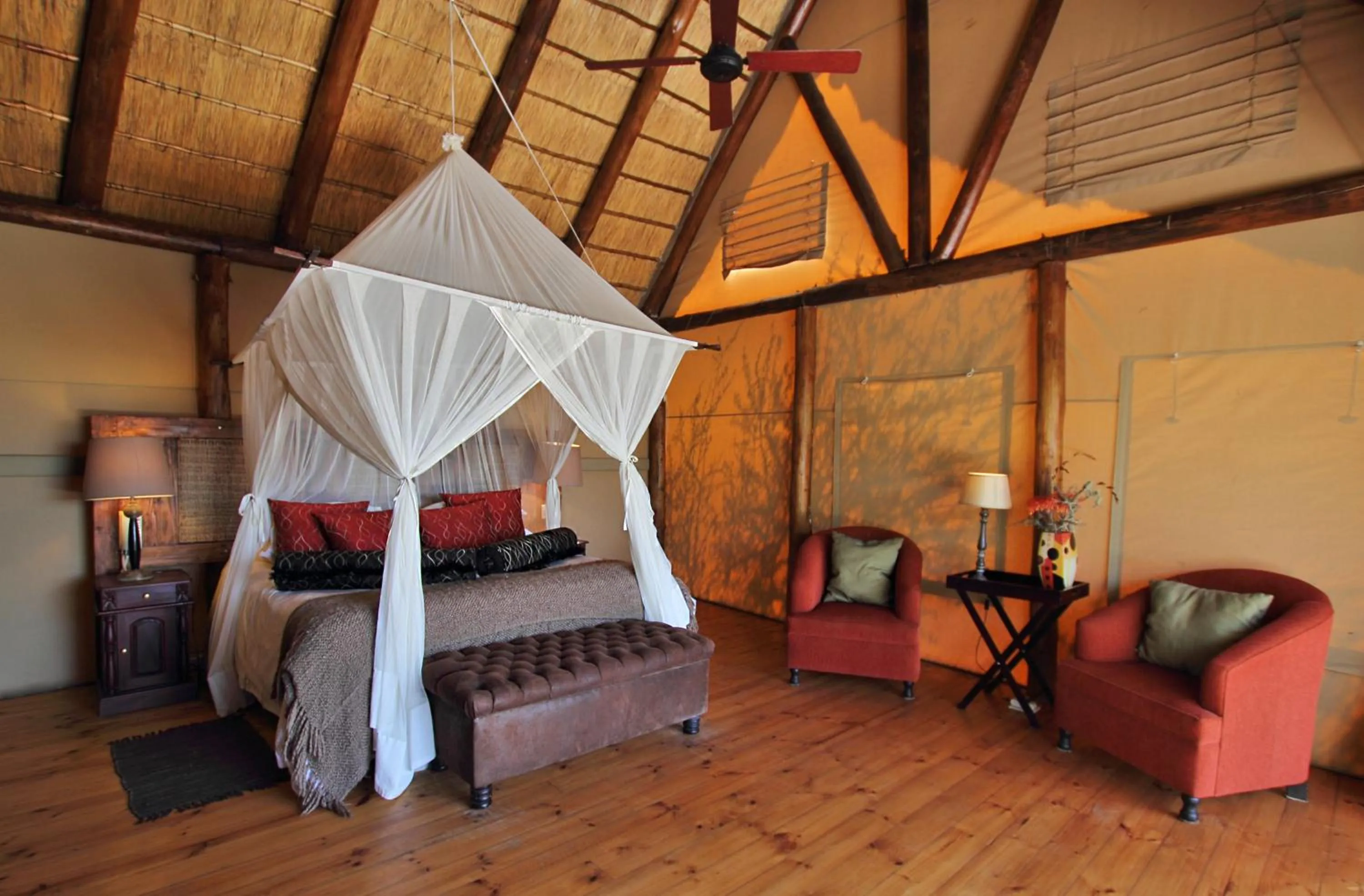 Photo of the whole room in Bush Lodge – Amakhala Game Reserve