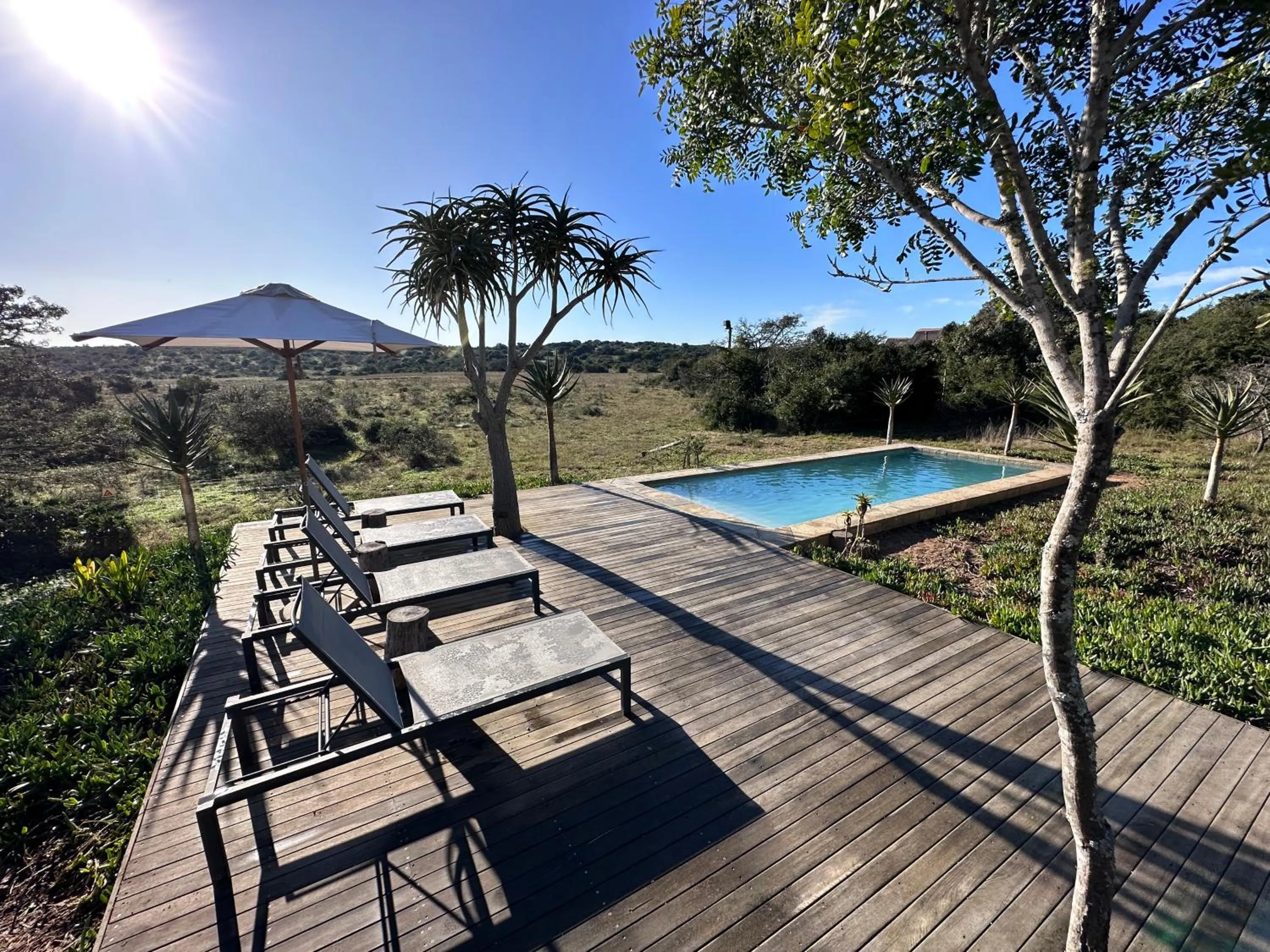 Swimming pool in Bush Lodge – Amakhala Game Reserve