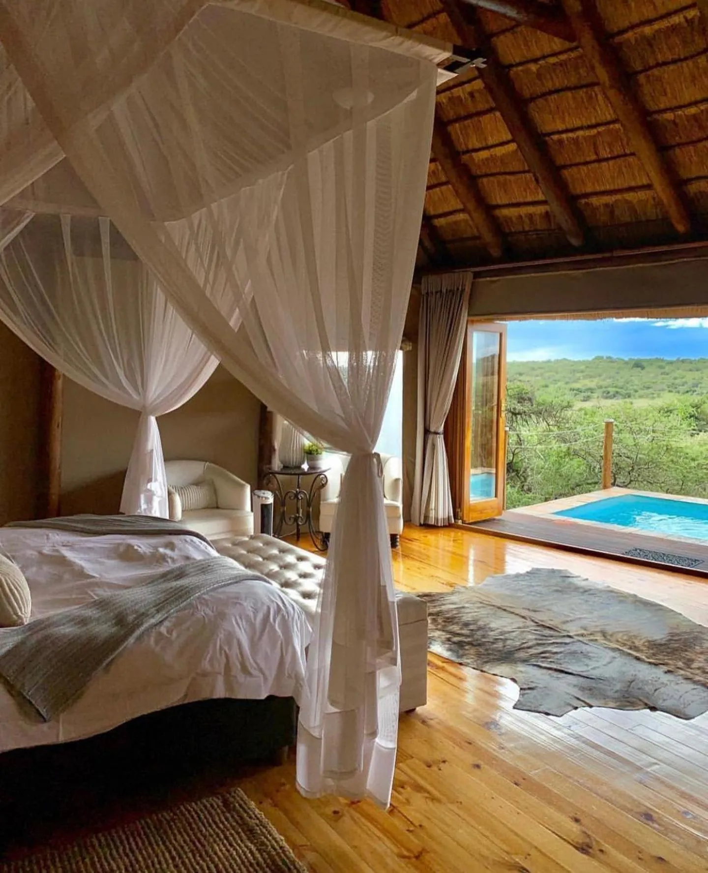 Swimming pool, Bed in Bush Lodge – Amakhala Game Reserve