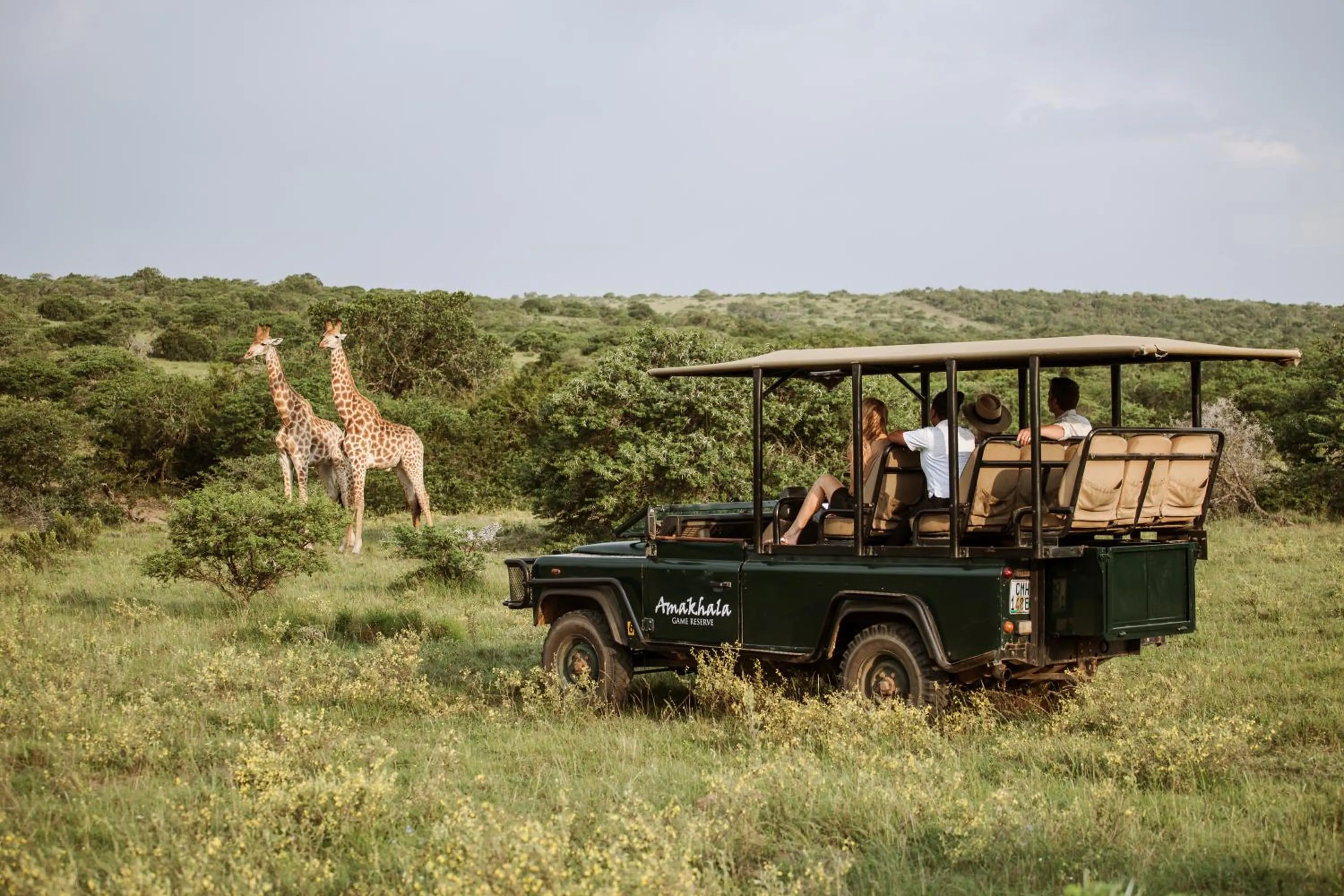 Activities in Bush Lodge – Amakhala Game Reserve