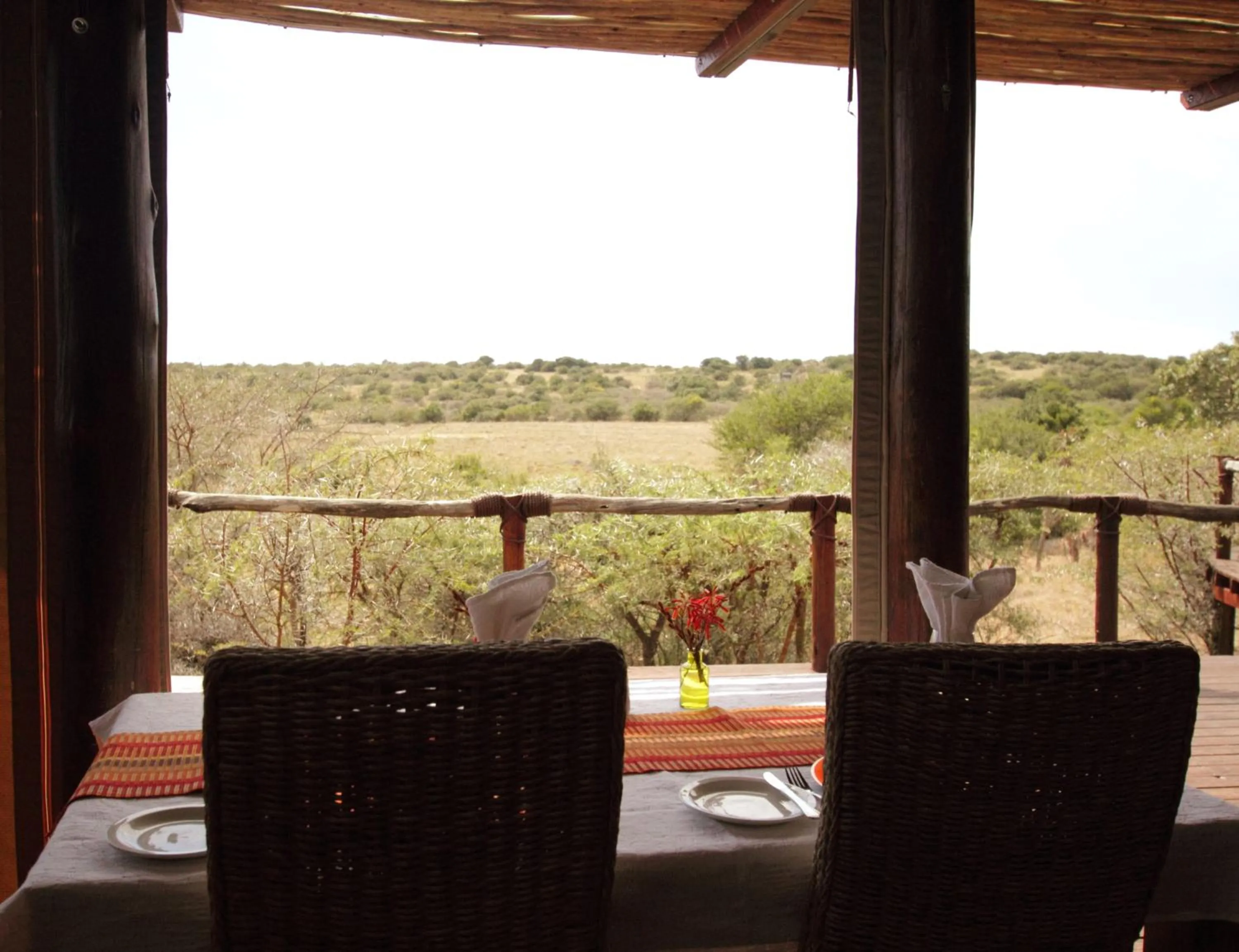 Restaurant/places to eat in Bush Lodge – Amakhala Game Reserve