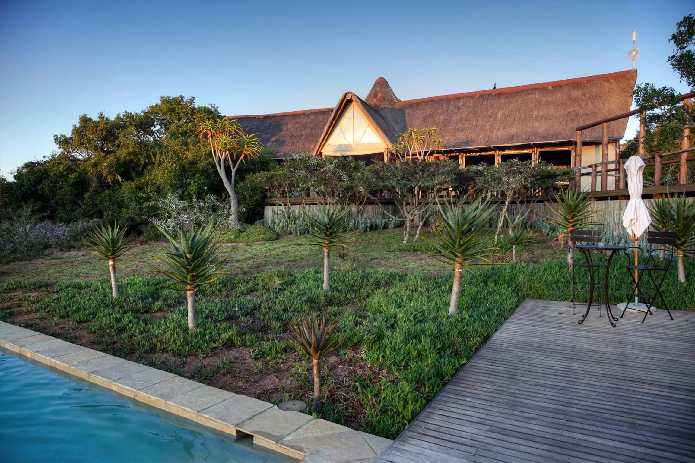 Swimming pool in Bush Lodge – Amakhala Game Reserve