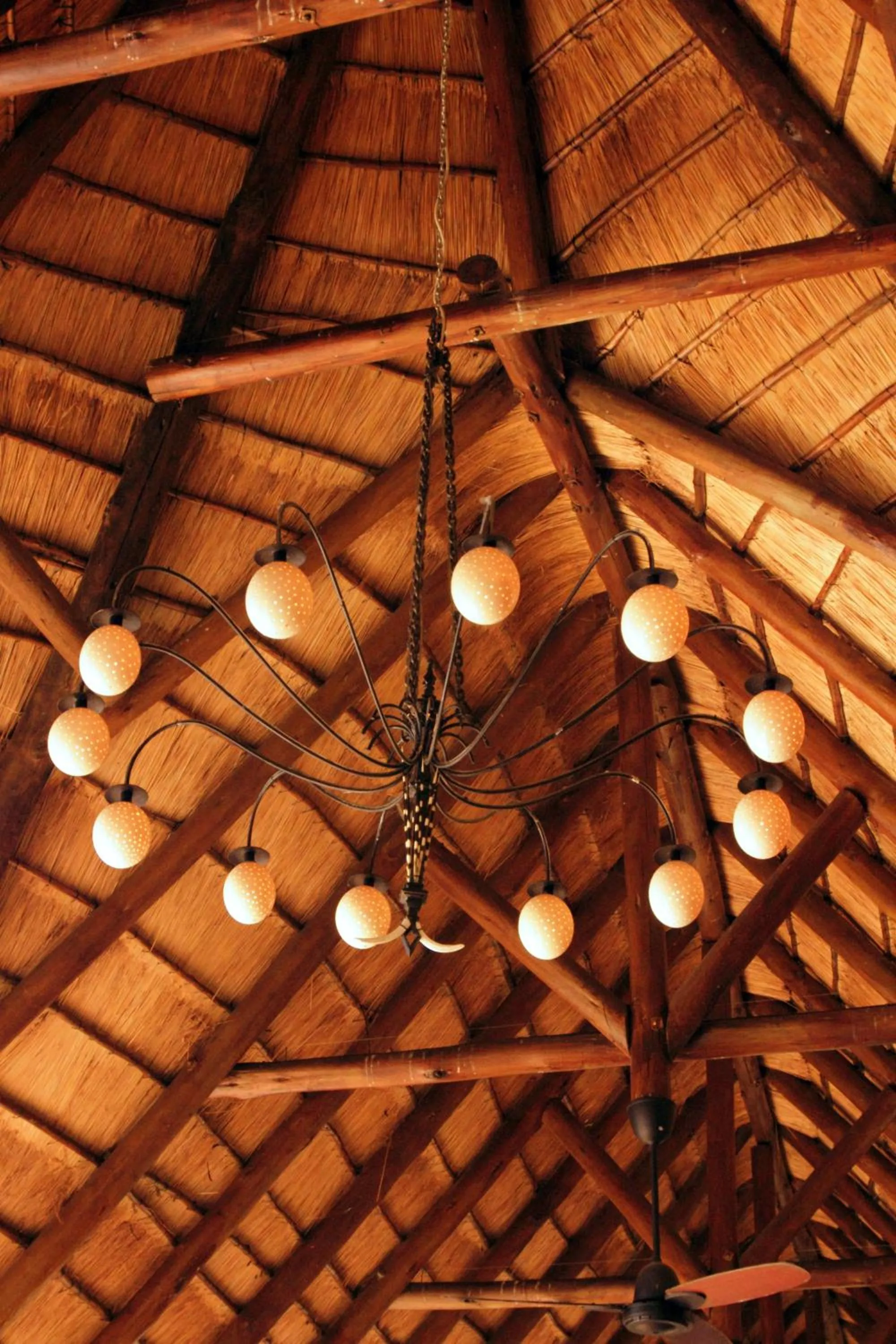 Decorative detail in Bush Lodge – Amakhala Game Reserve