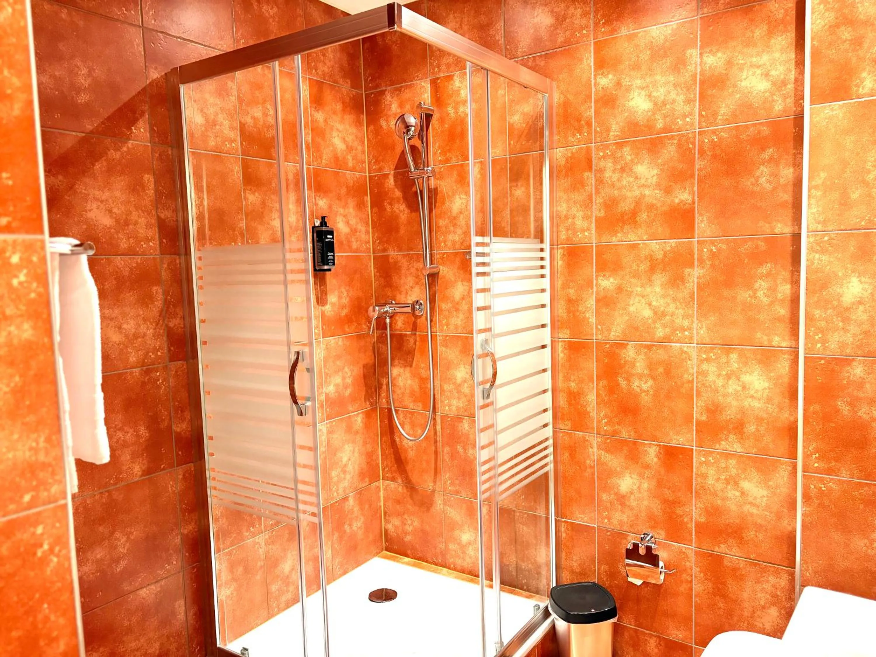 Shower in Akomo Bern