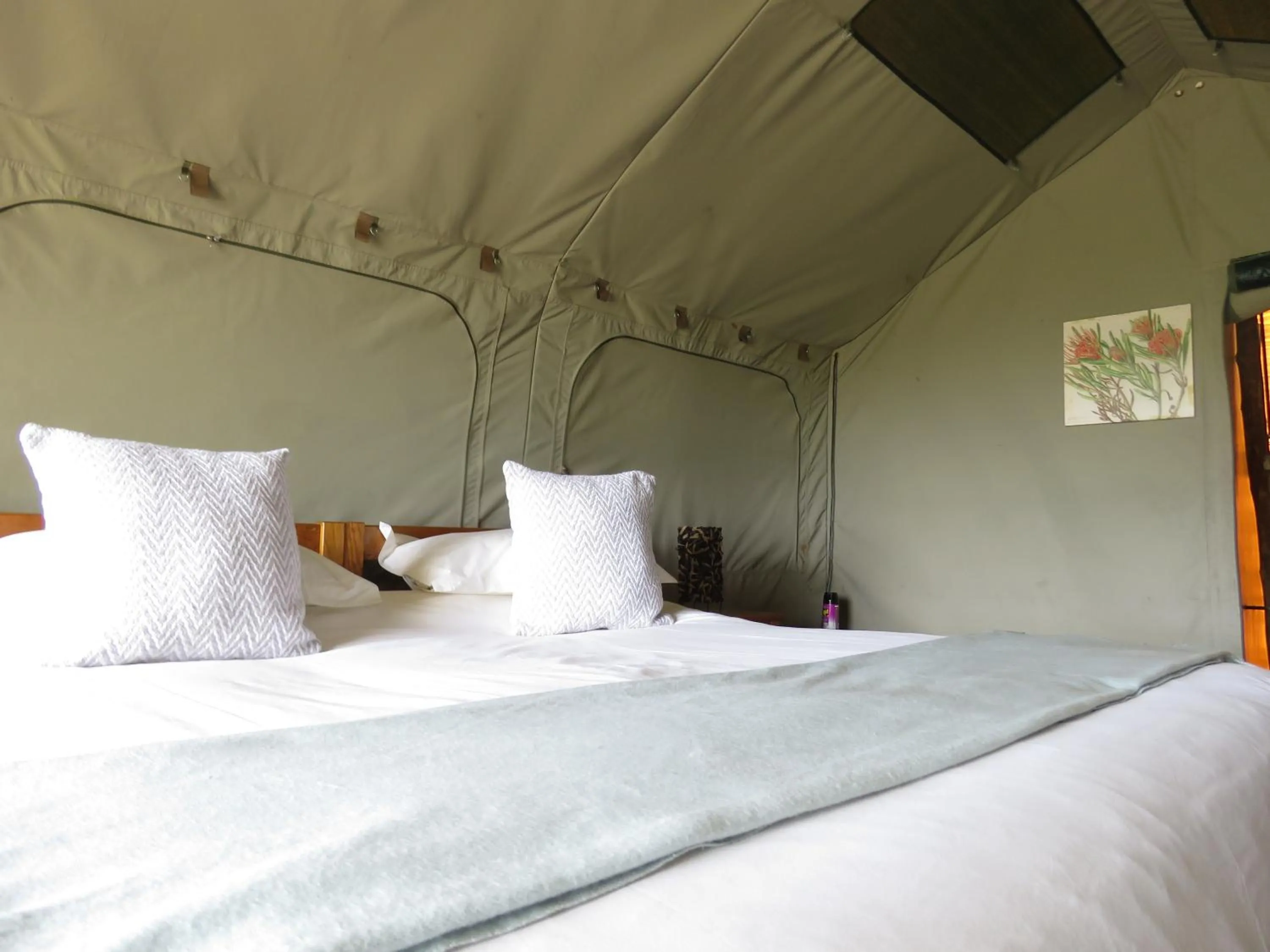 Bed in Woodbury Tented Camp – Amakhala Game Reserve