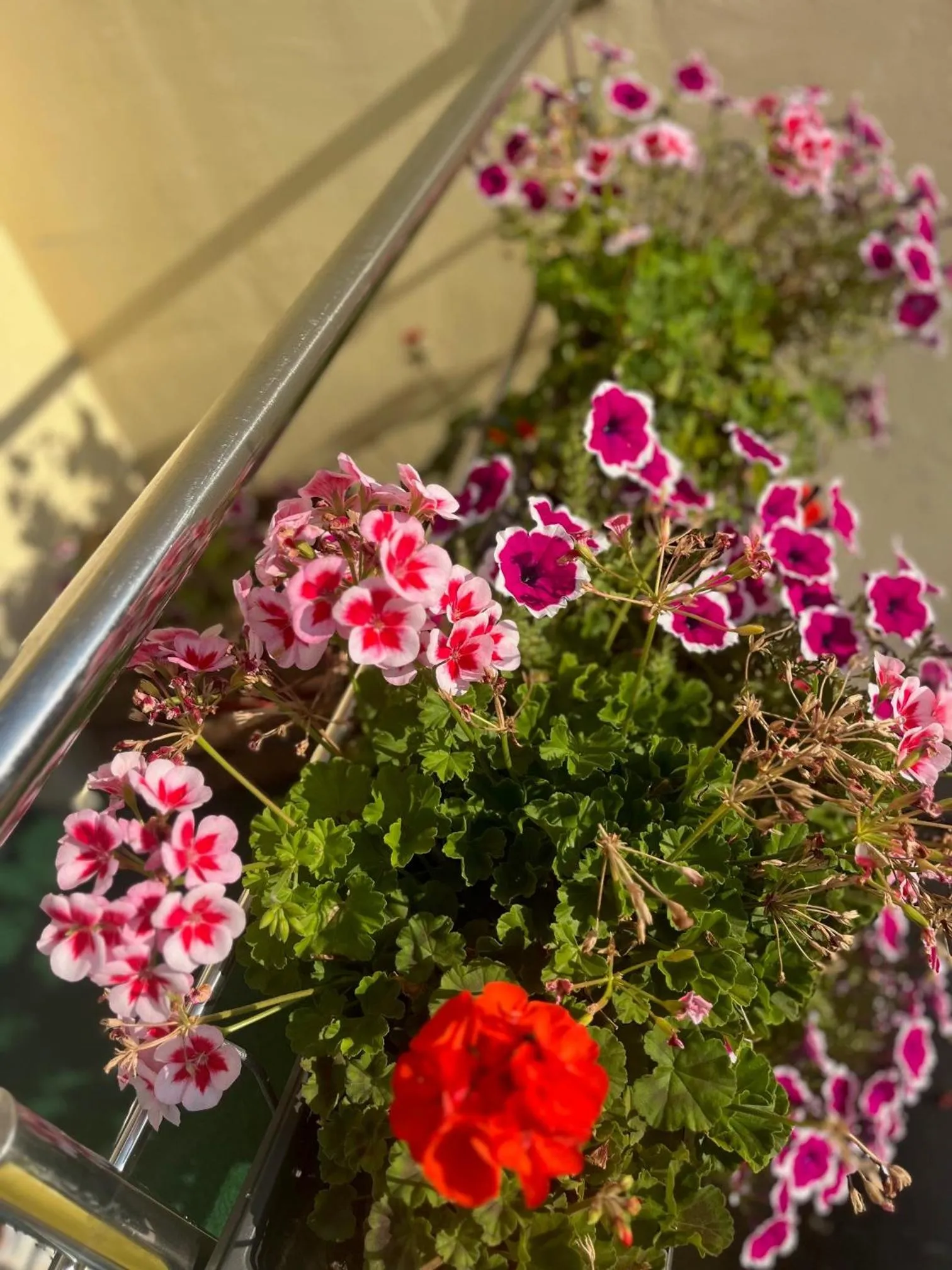 Hotel JÄGERHAUS in Singen am Hohentwiel