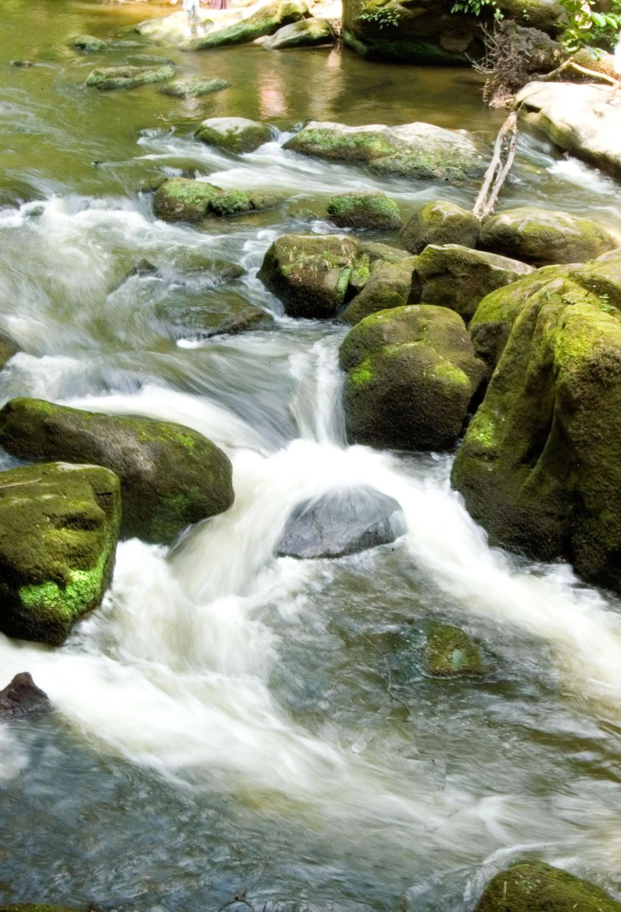 Natural landscape in Hotel Hauer