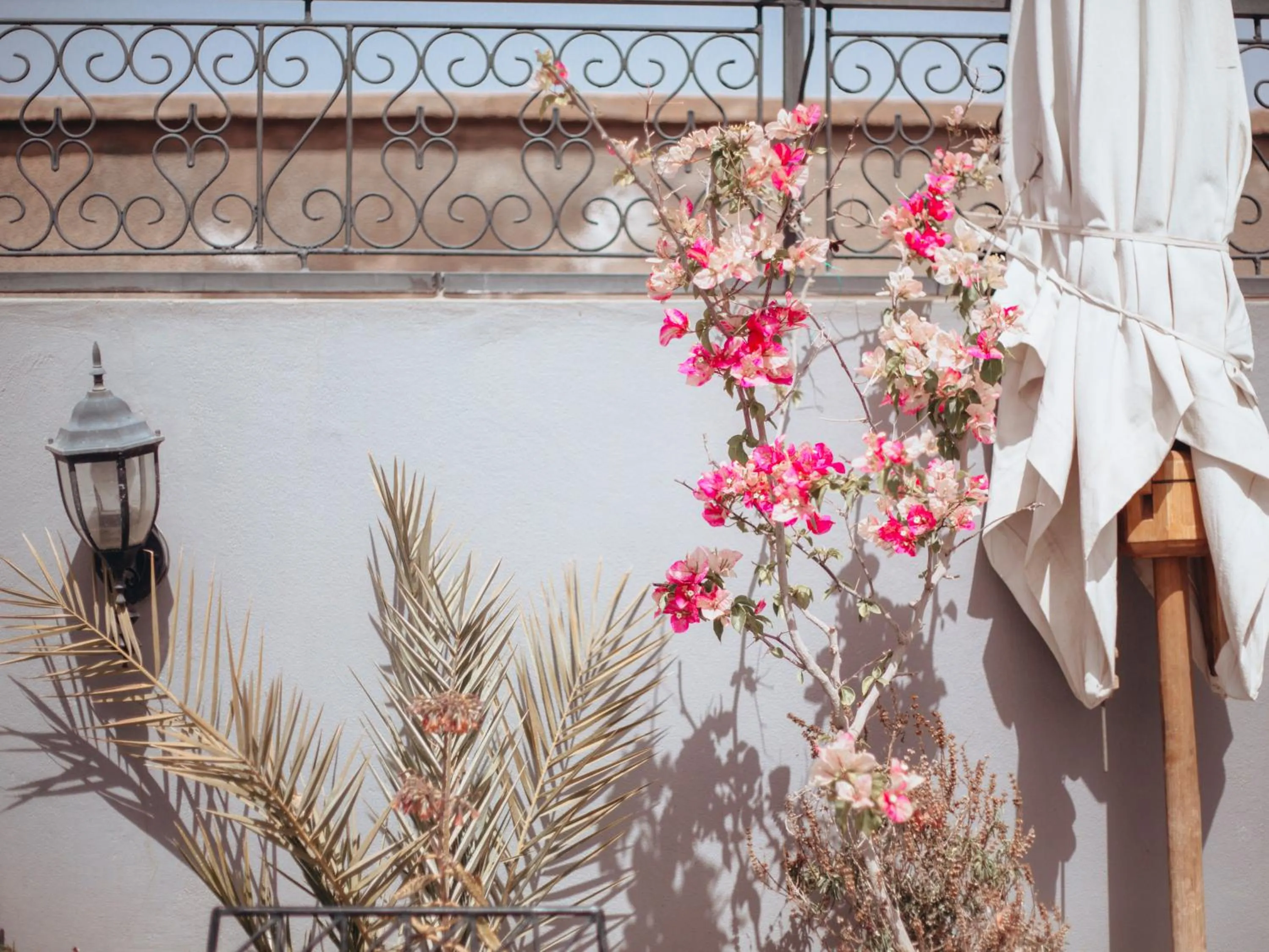 Spring in Riad Le Petit Joyau