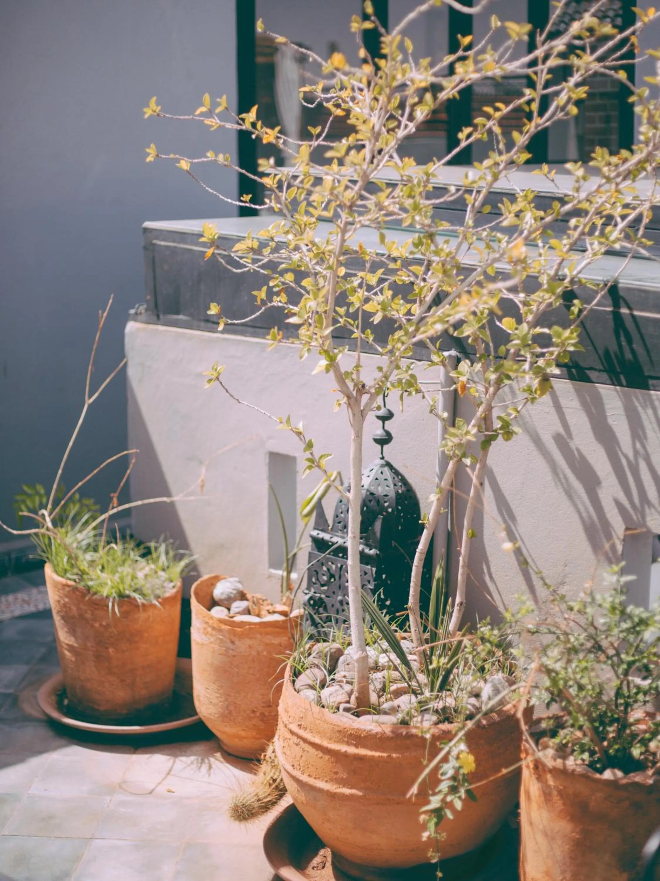 Day in Riad Le Petit Joyau