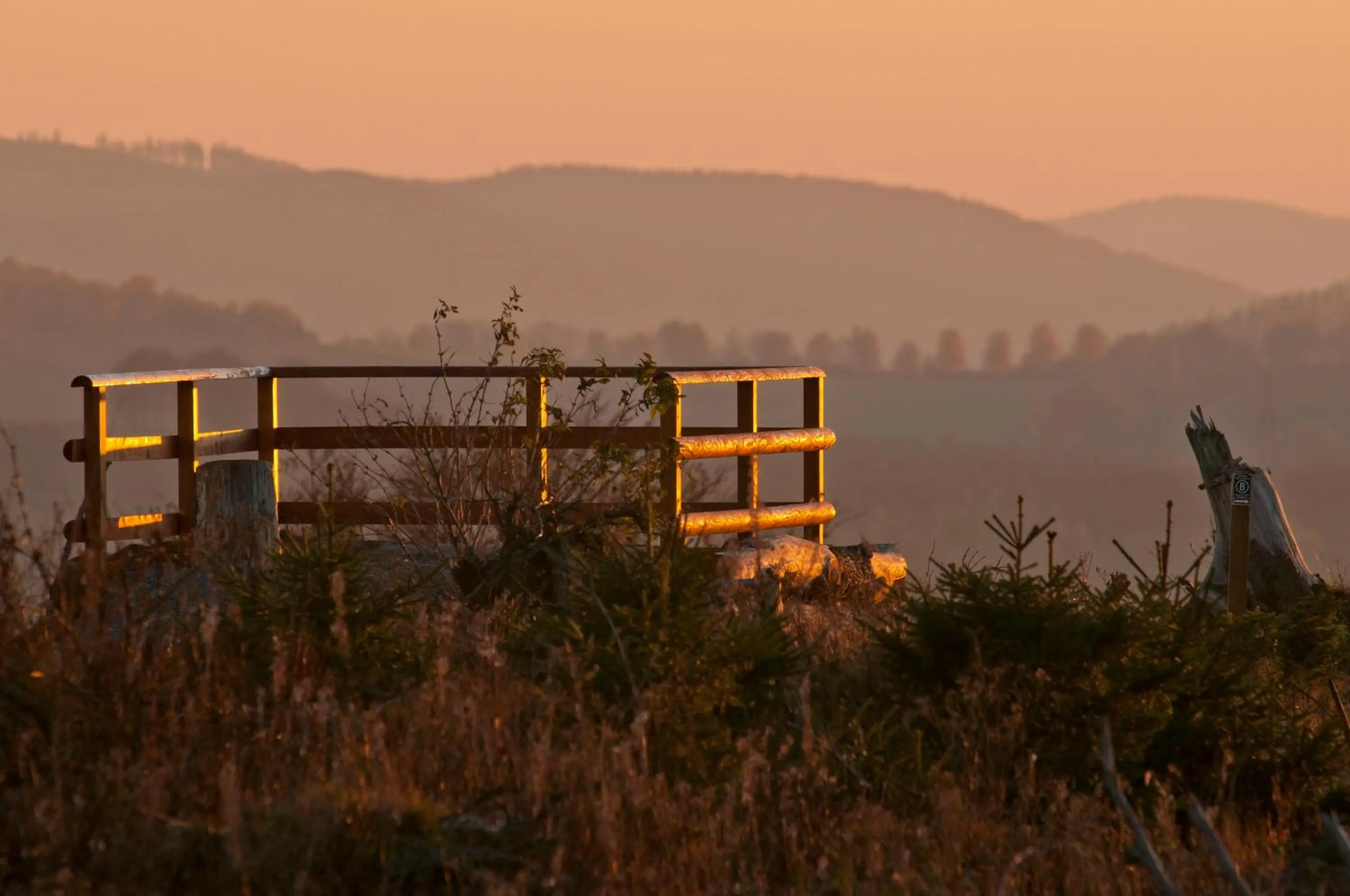 Natural landscape in Hotel Waldhaus Föckinghausen