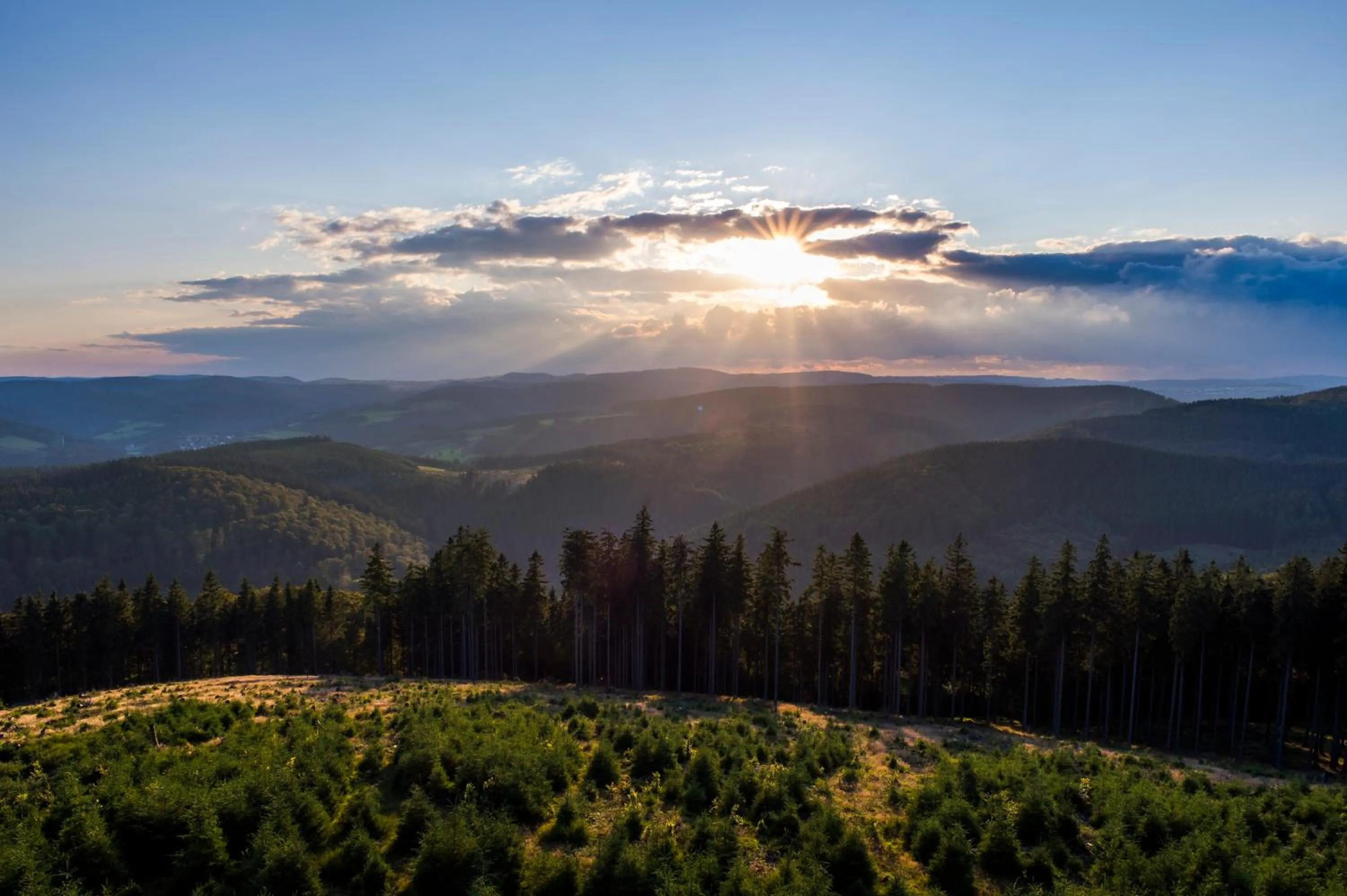 Natural landscape in Hotel Waldhaus Föckinghausen