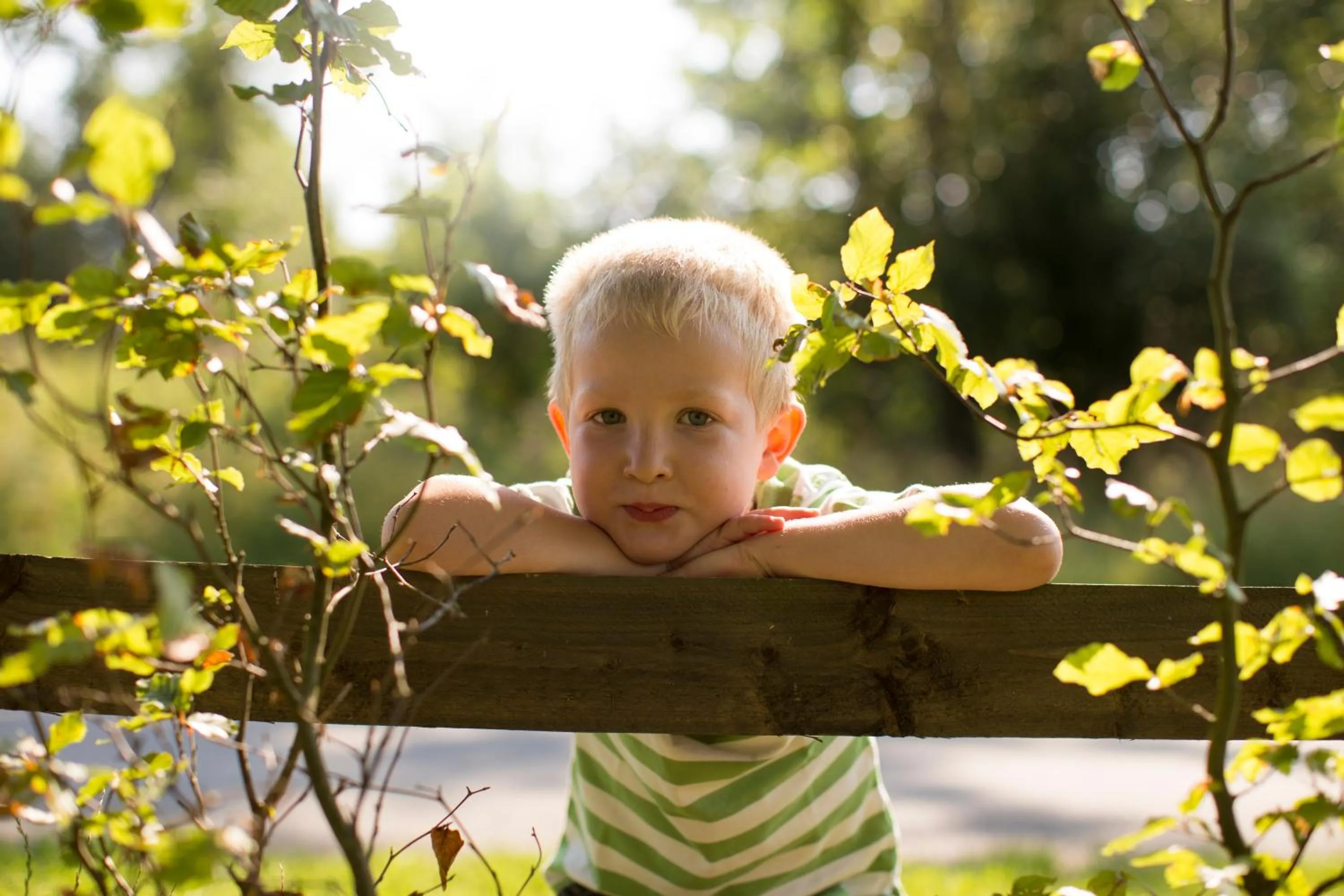 Garden in Hotel Waldhaus Föckinghausen