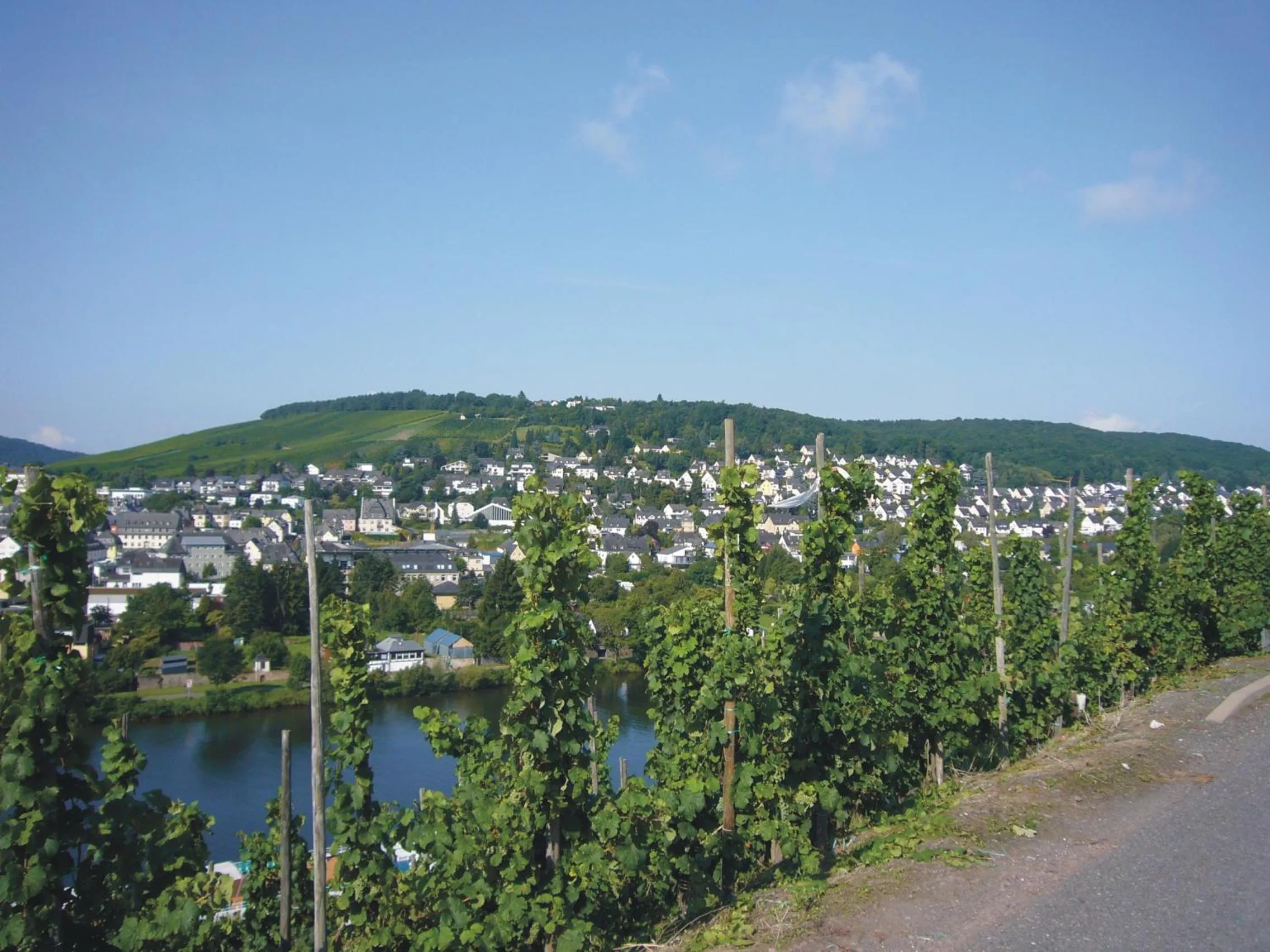Natural landscape in Christiana's Wein & Art Hotel