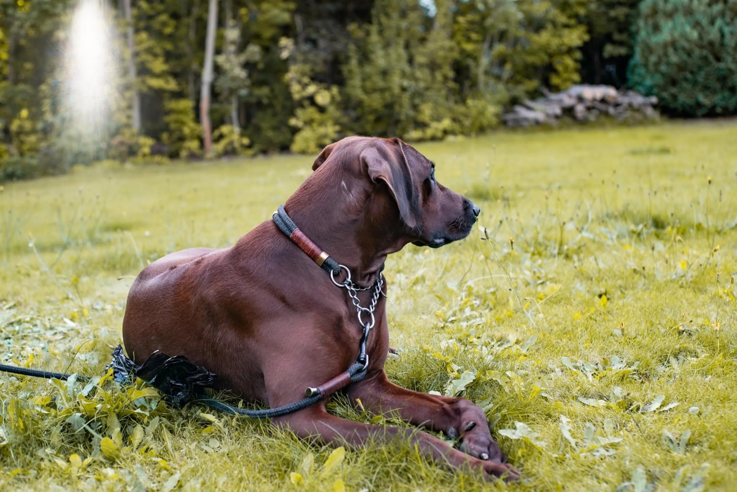 Landhotel Villa Foresta