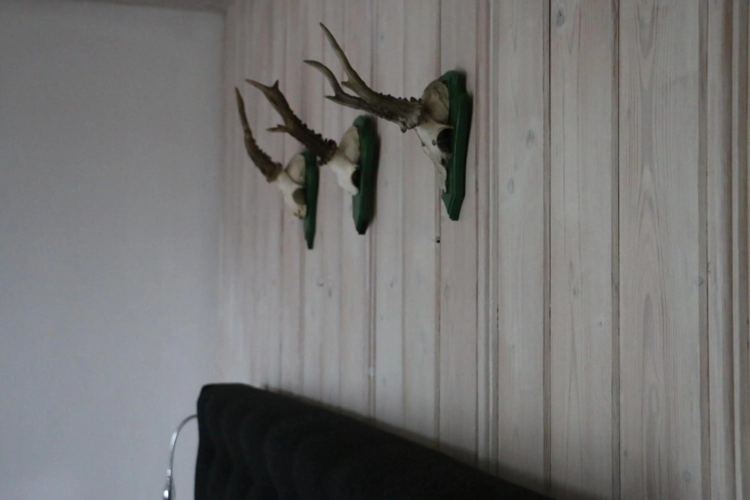 Decorative detail in Landhotel Villa Foresta