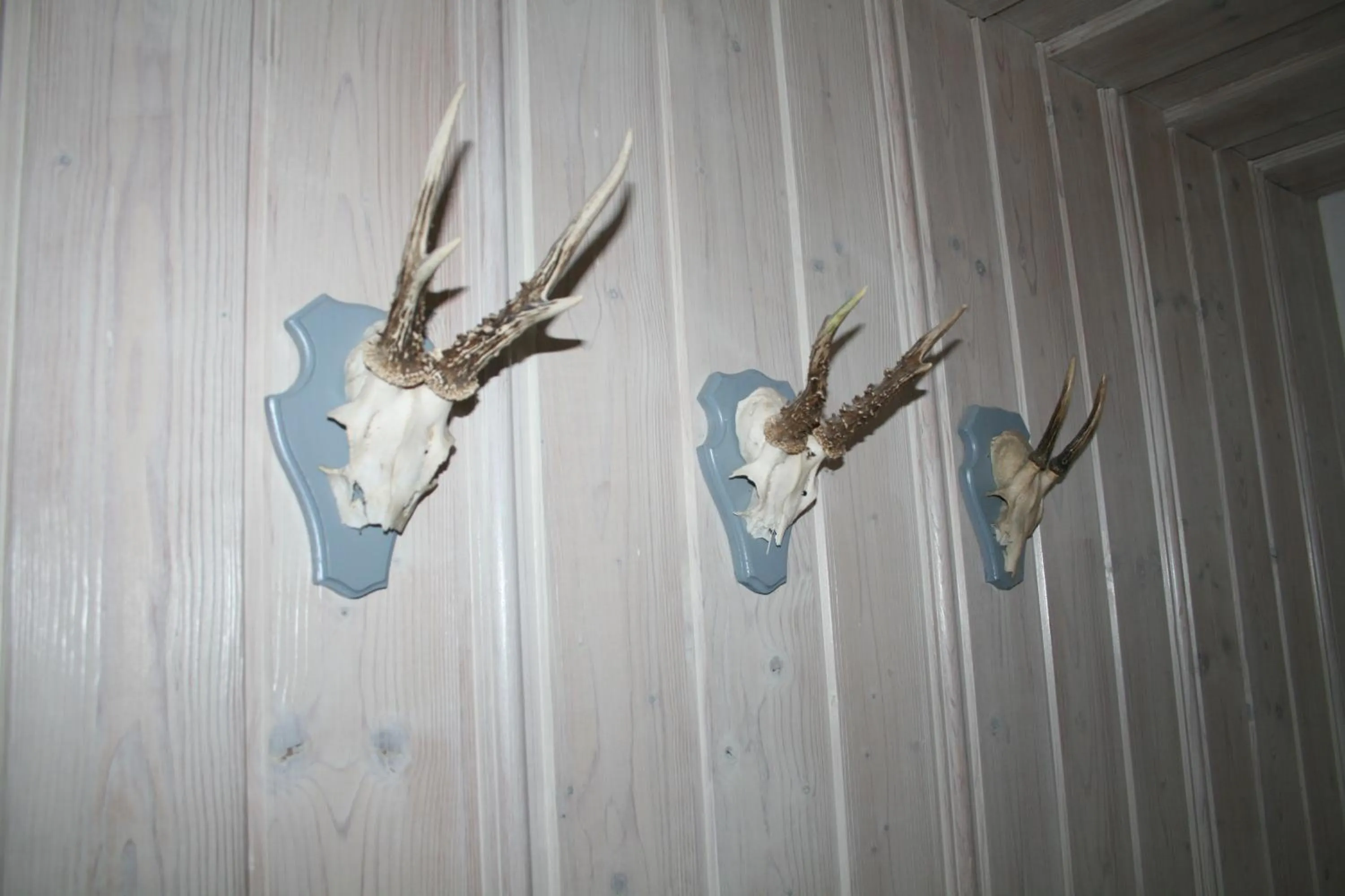 Decorative detail in Landhotel Villa Foresta