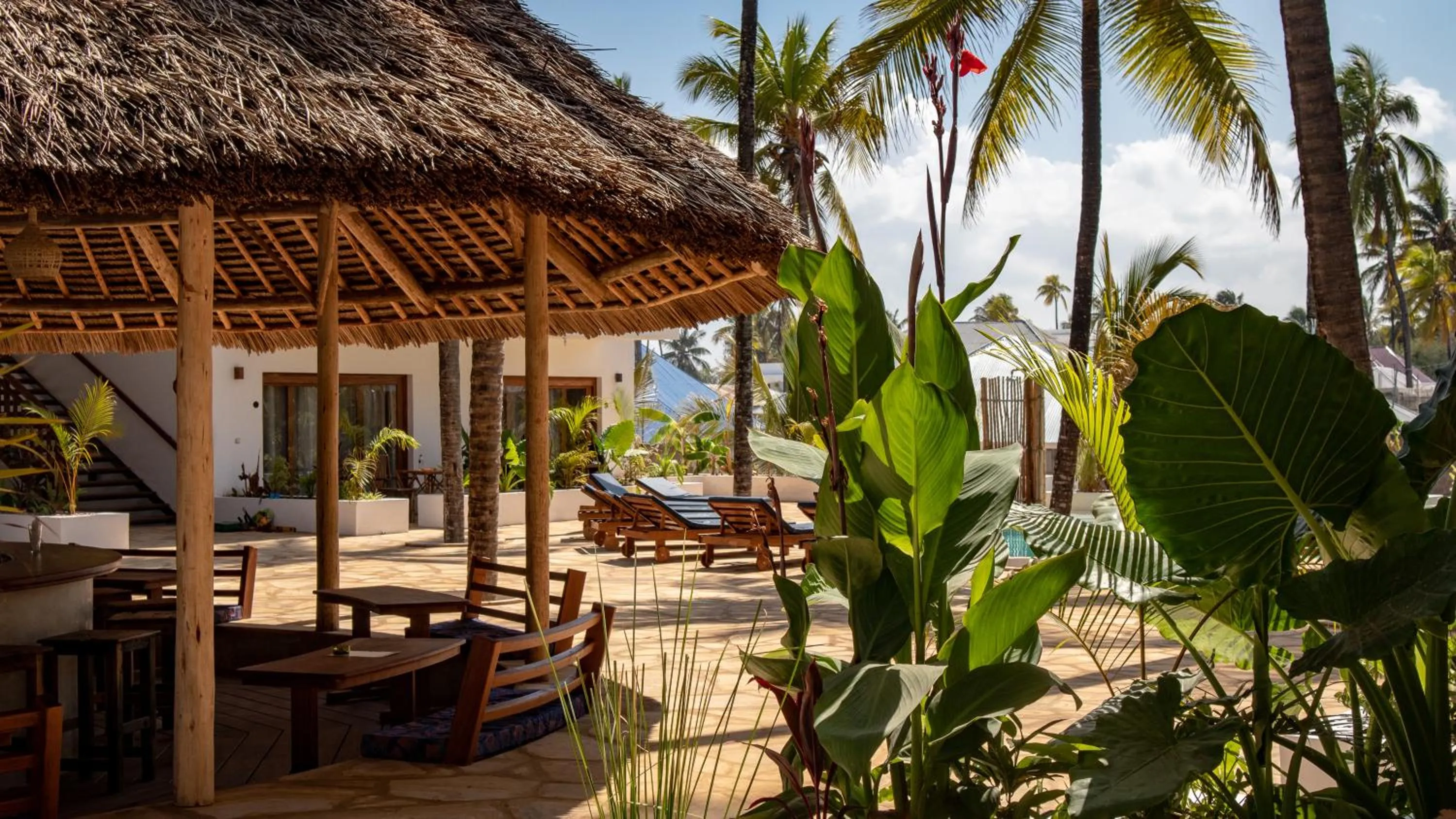 Restaurant/places to eat in Aluna Paje