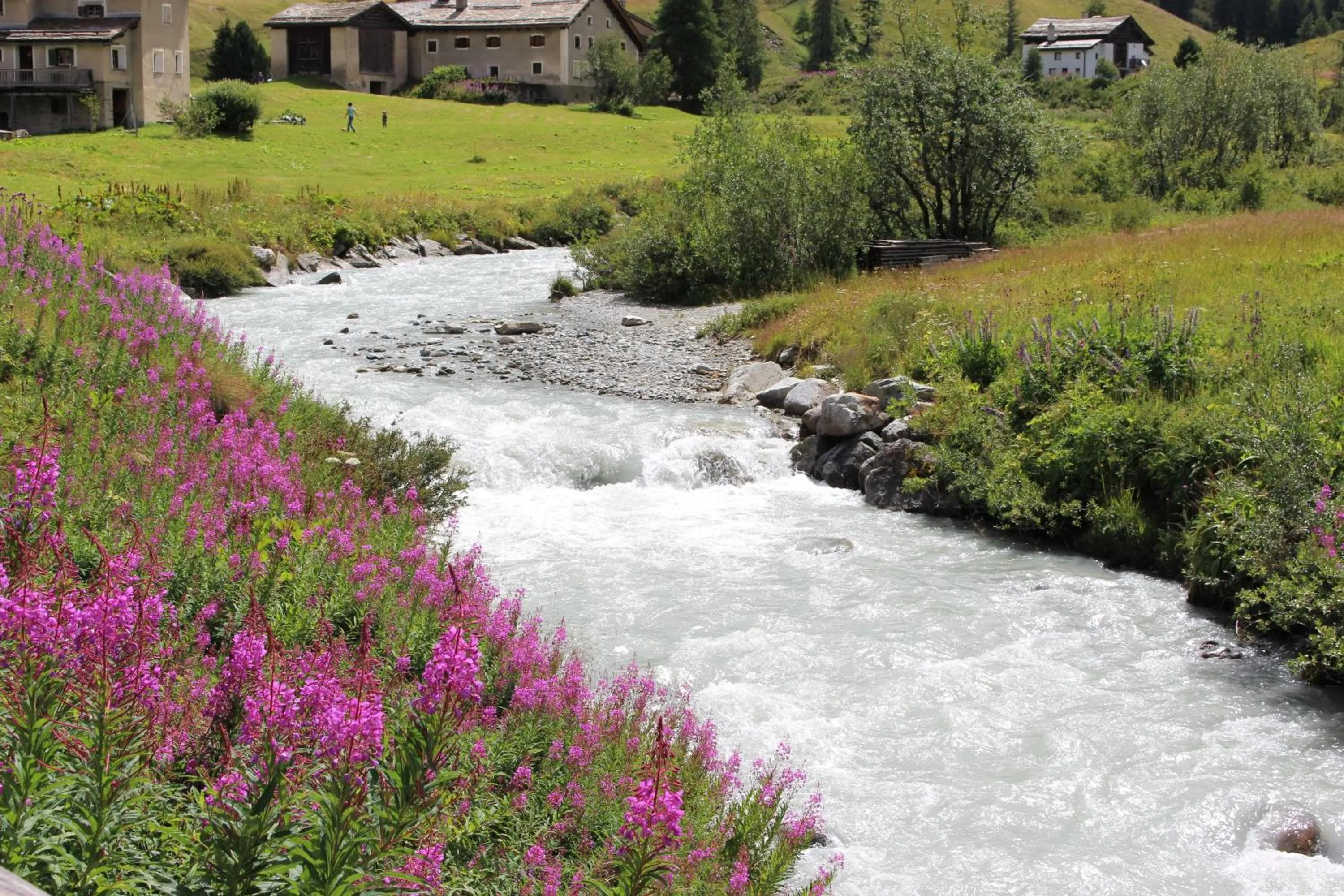 Natural landscape in Hotel Chesa Pool