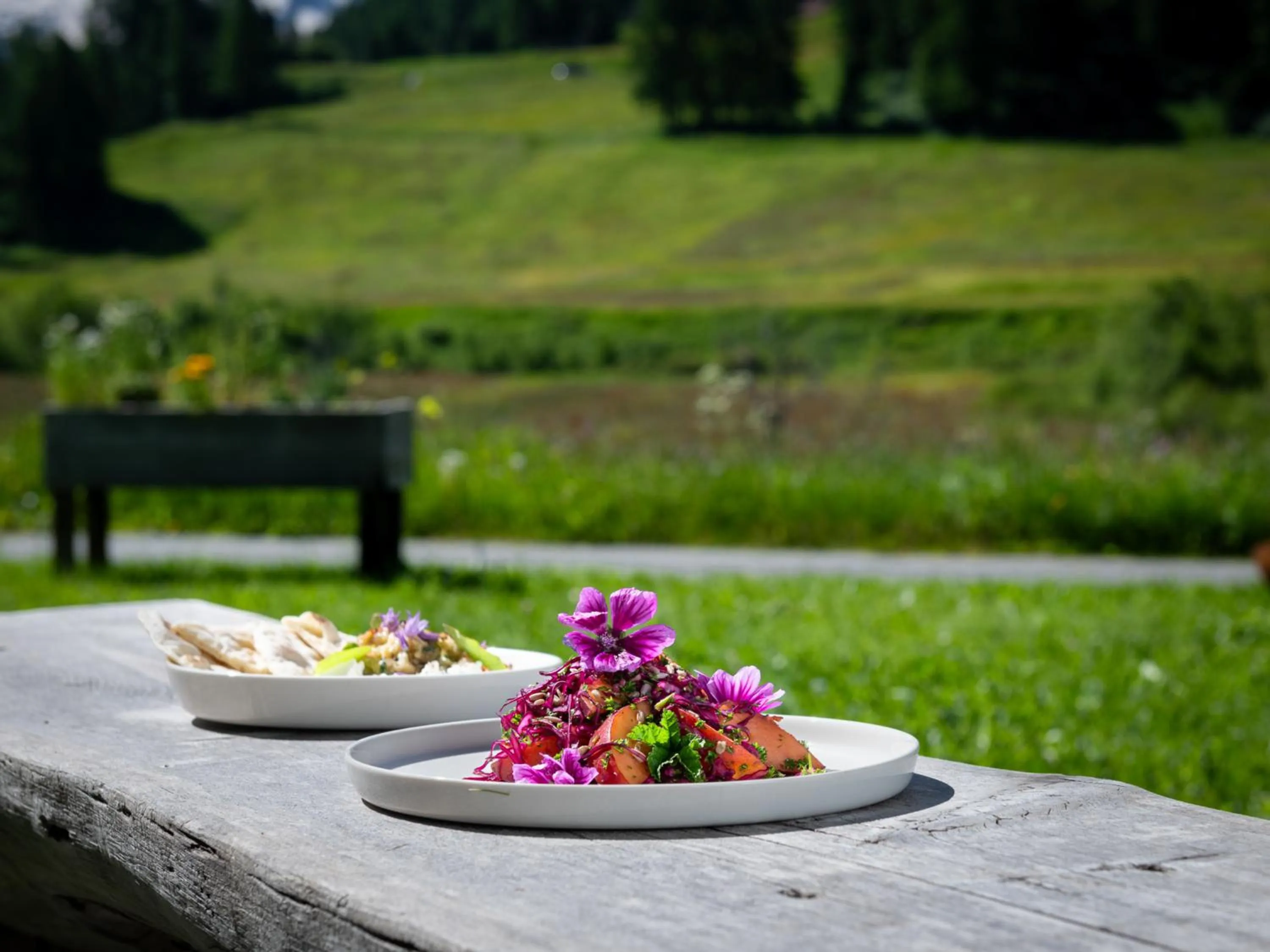 Food in Hotel Chesa Pool