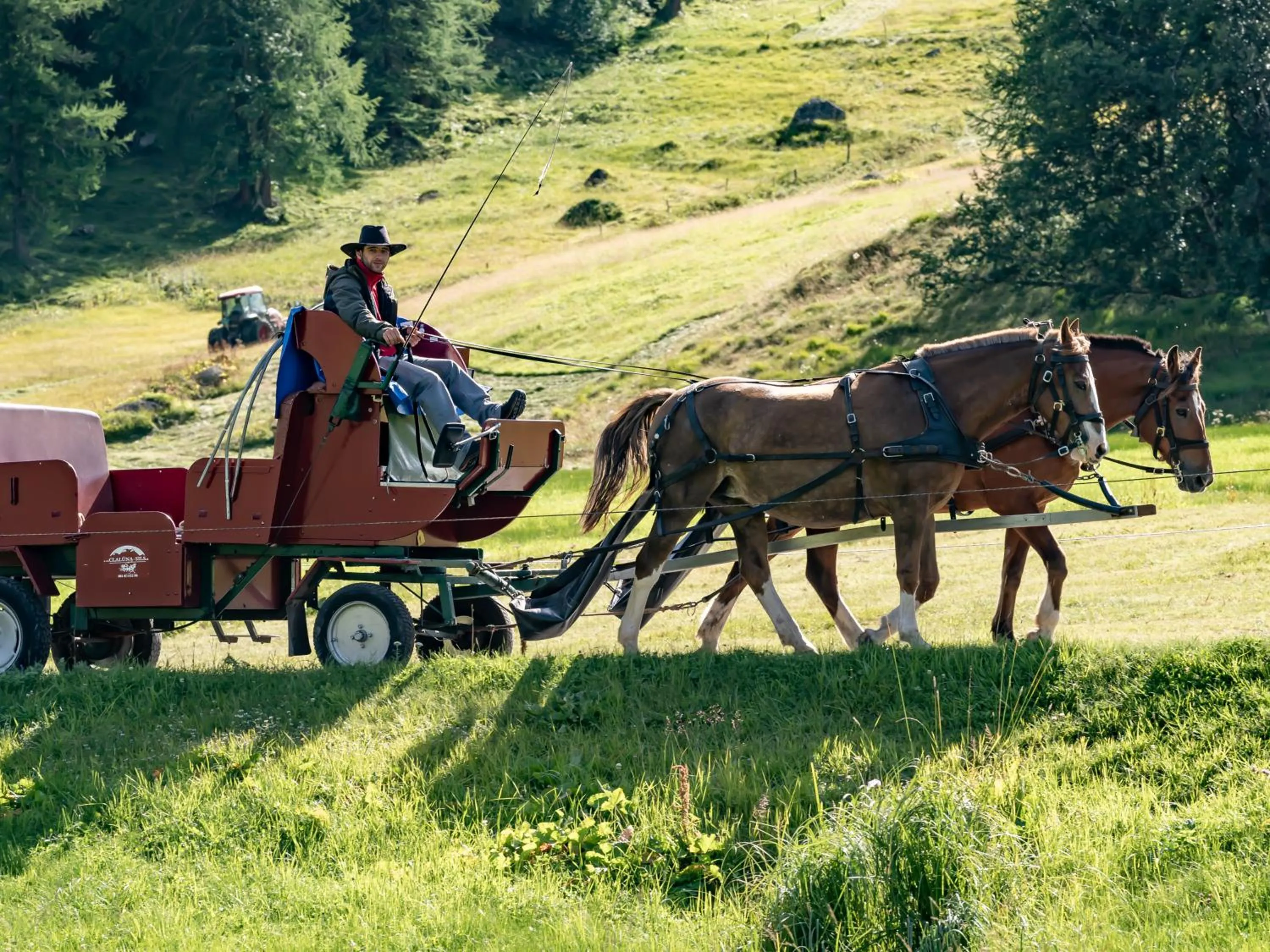 Activities in Hotel Chesa Pool