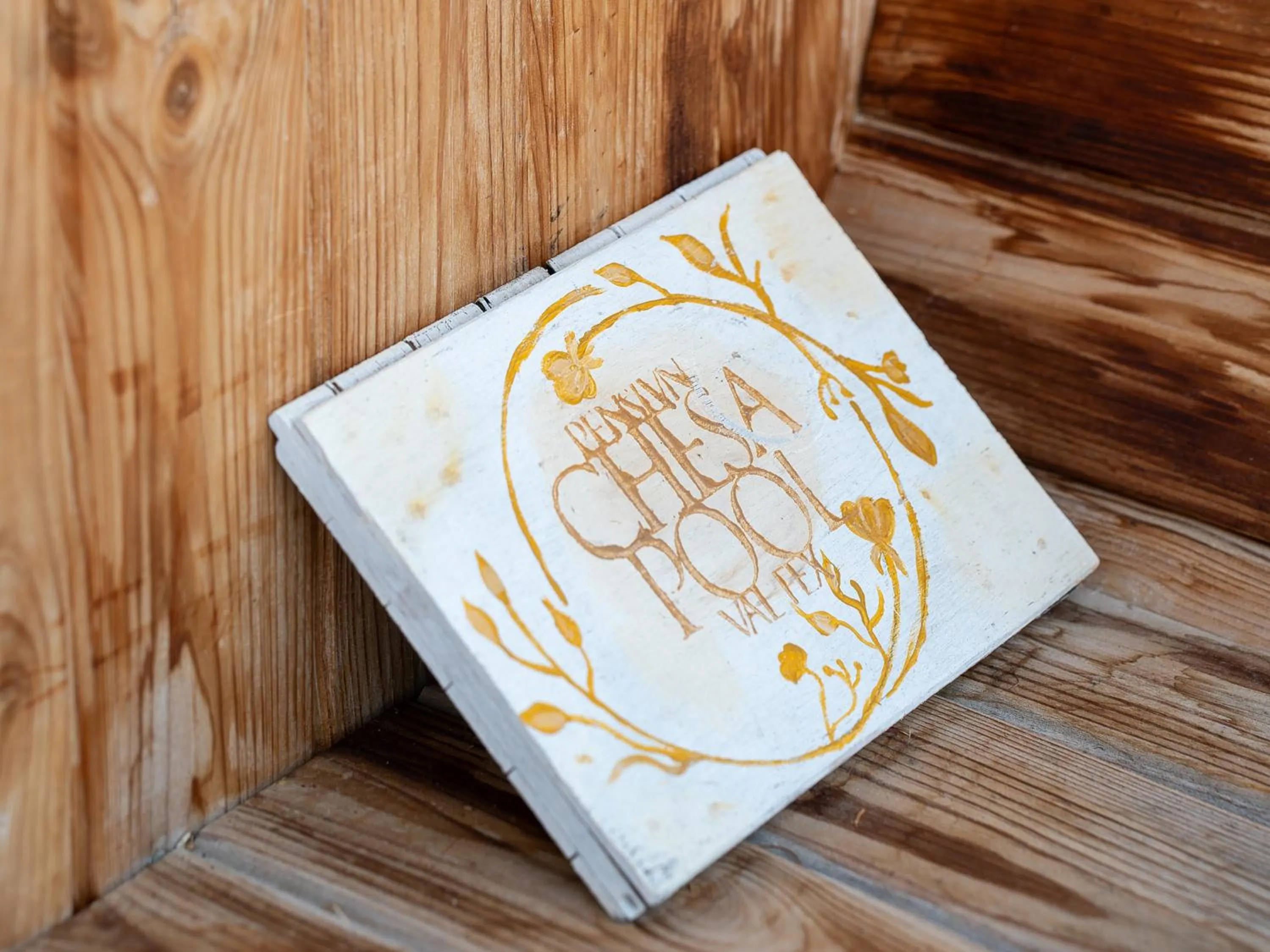 Activities in Hotel Chesa Pool