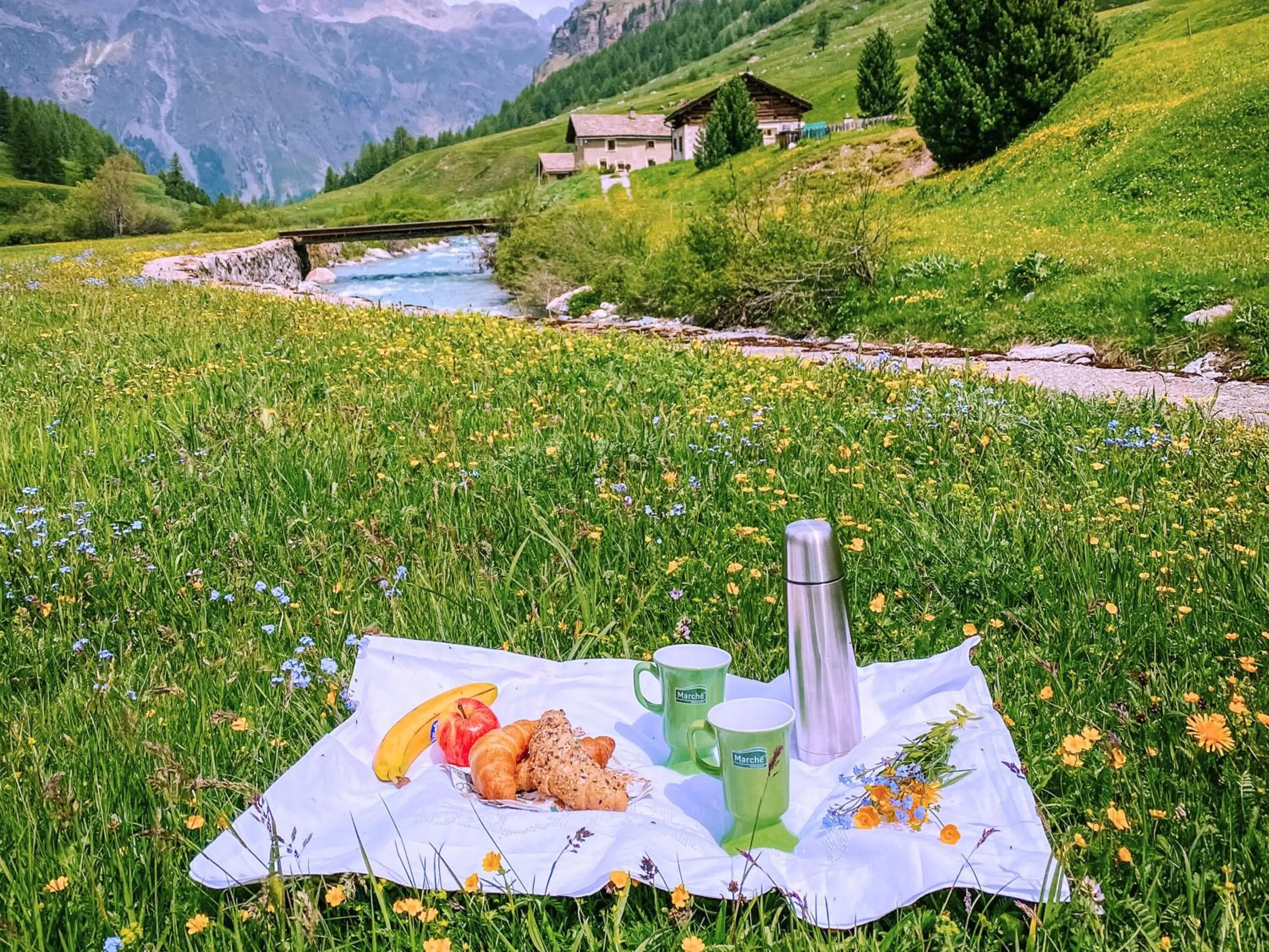 Natural landscape in Hotel Chesa Pool
